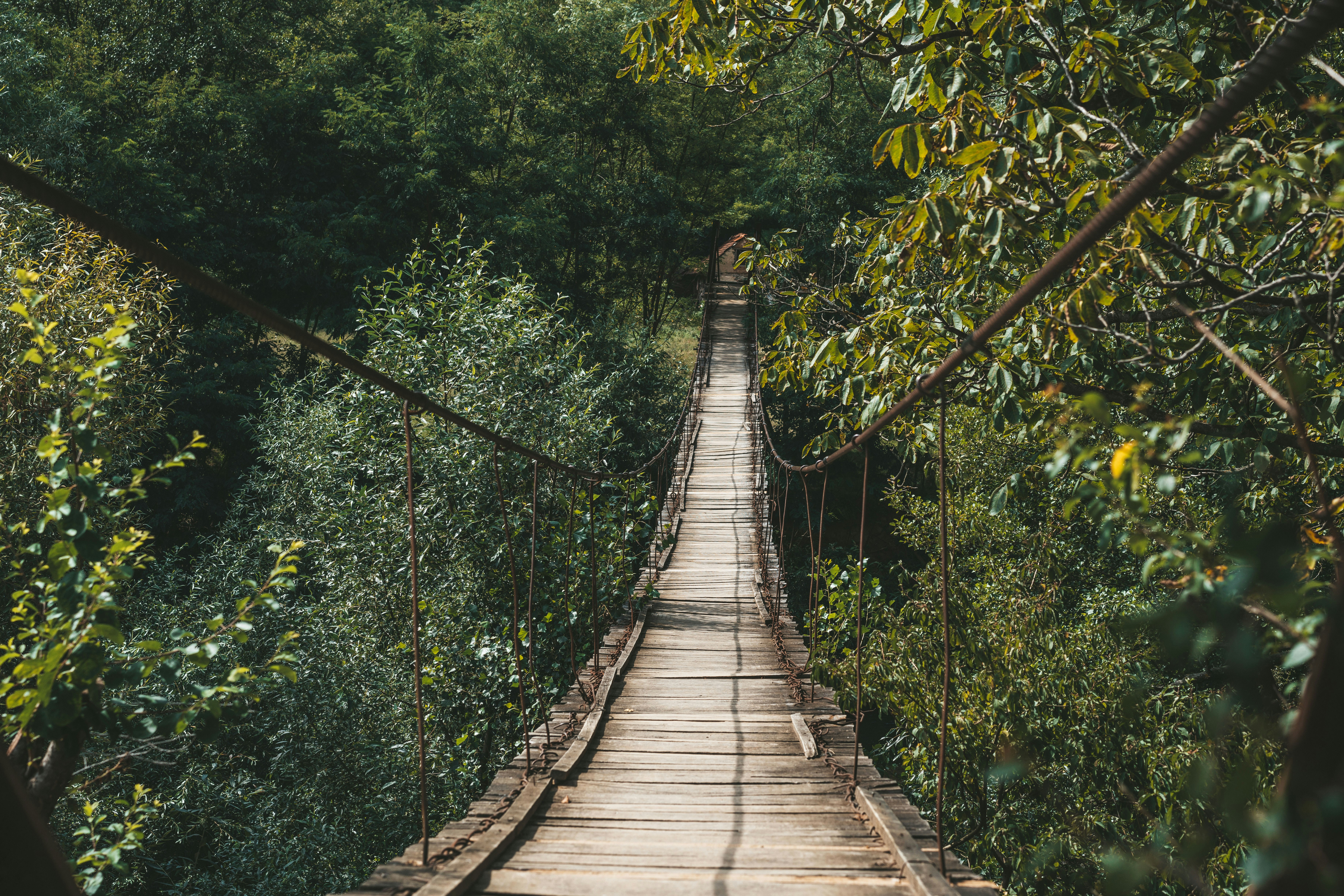 Photo by mihaiteslariu0