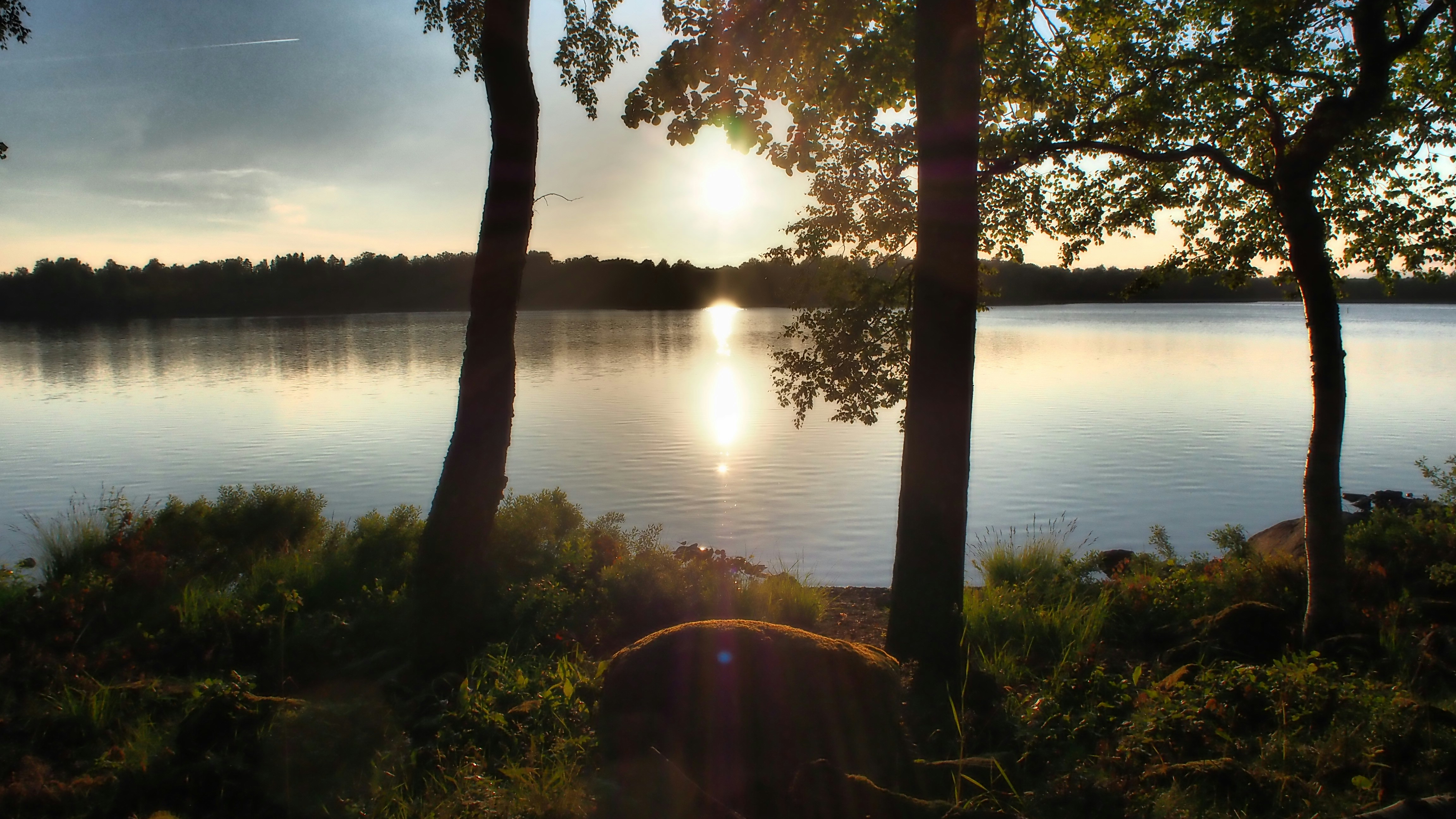 Photo by max_payload