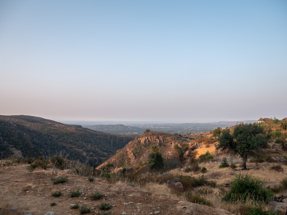 campo de hierba verde en la colina bajo el cielo azul durante el día