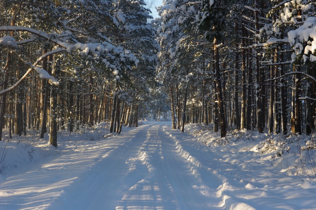 Natural landscape photo spot Kemeri National Park Riga International Airport