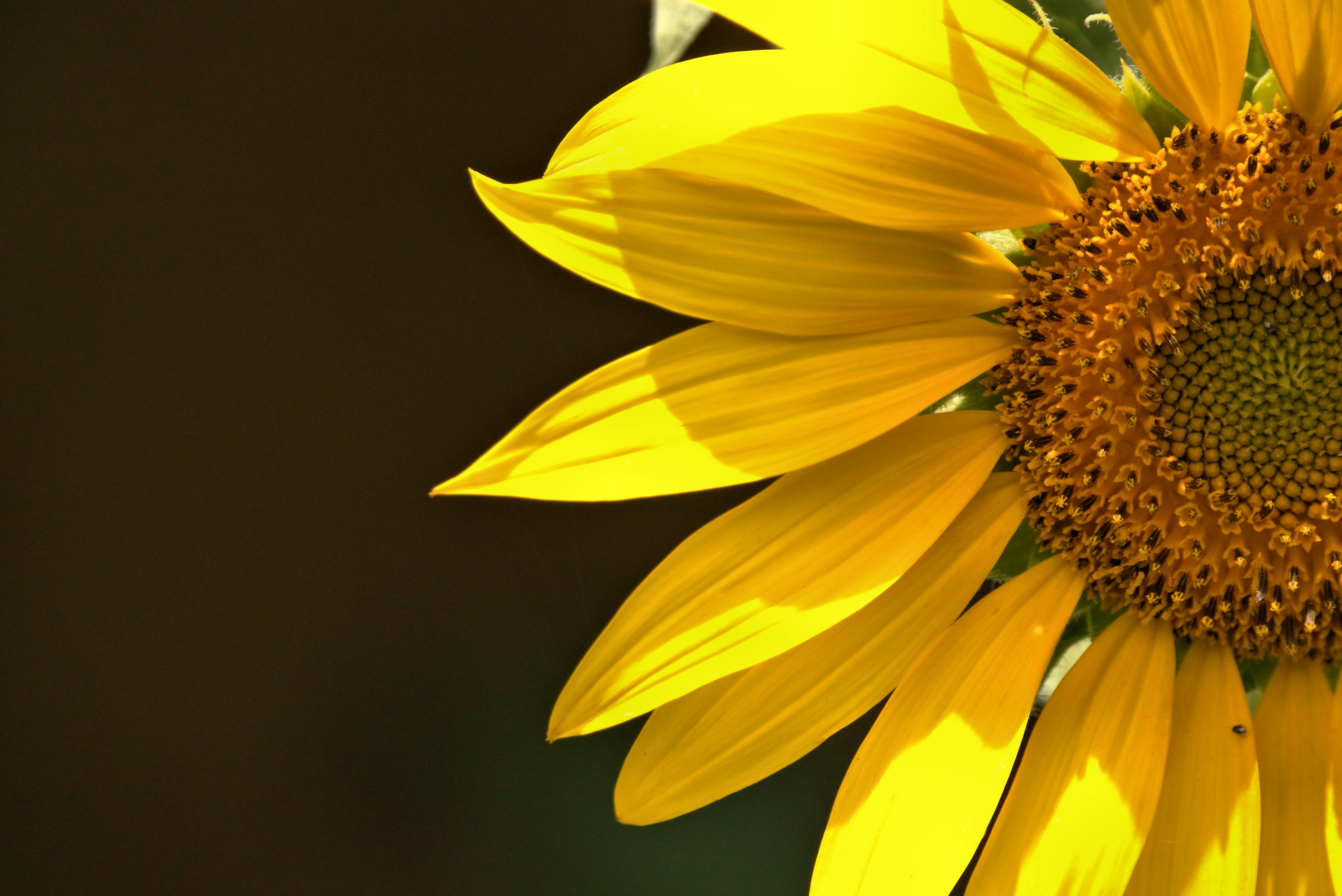 Photo by lens_poet_photography