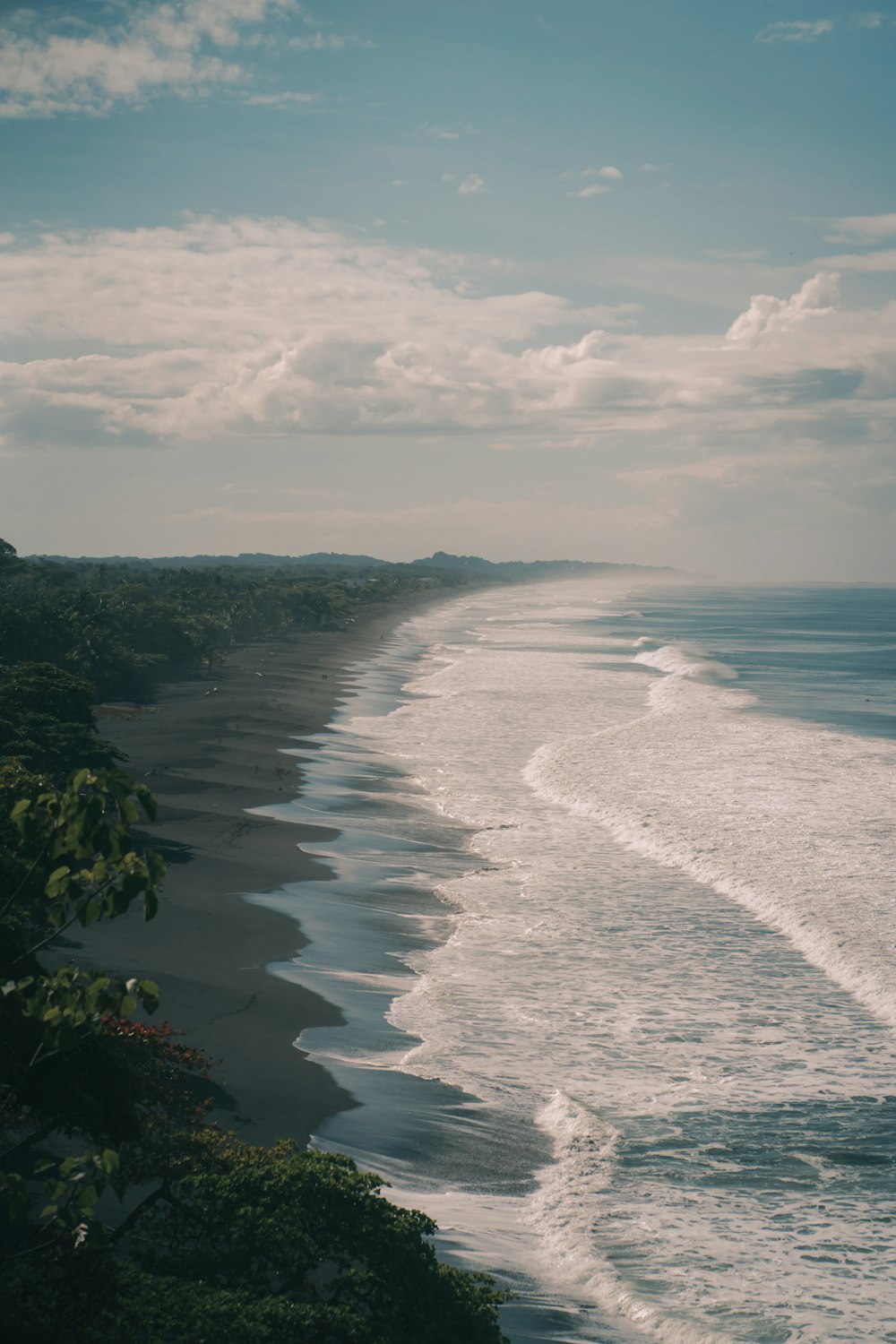 green trees near sea under white clouds during daytime