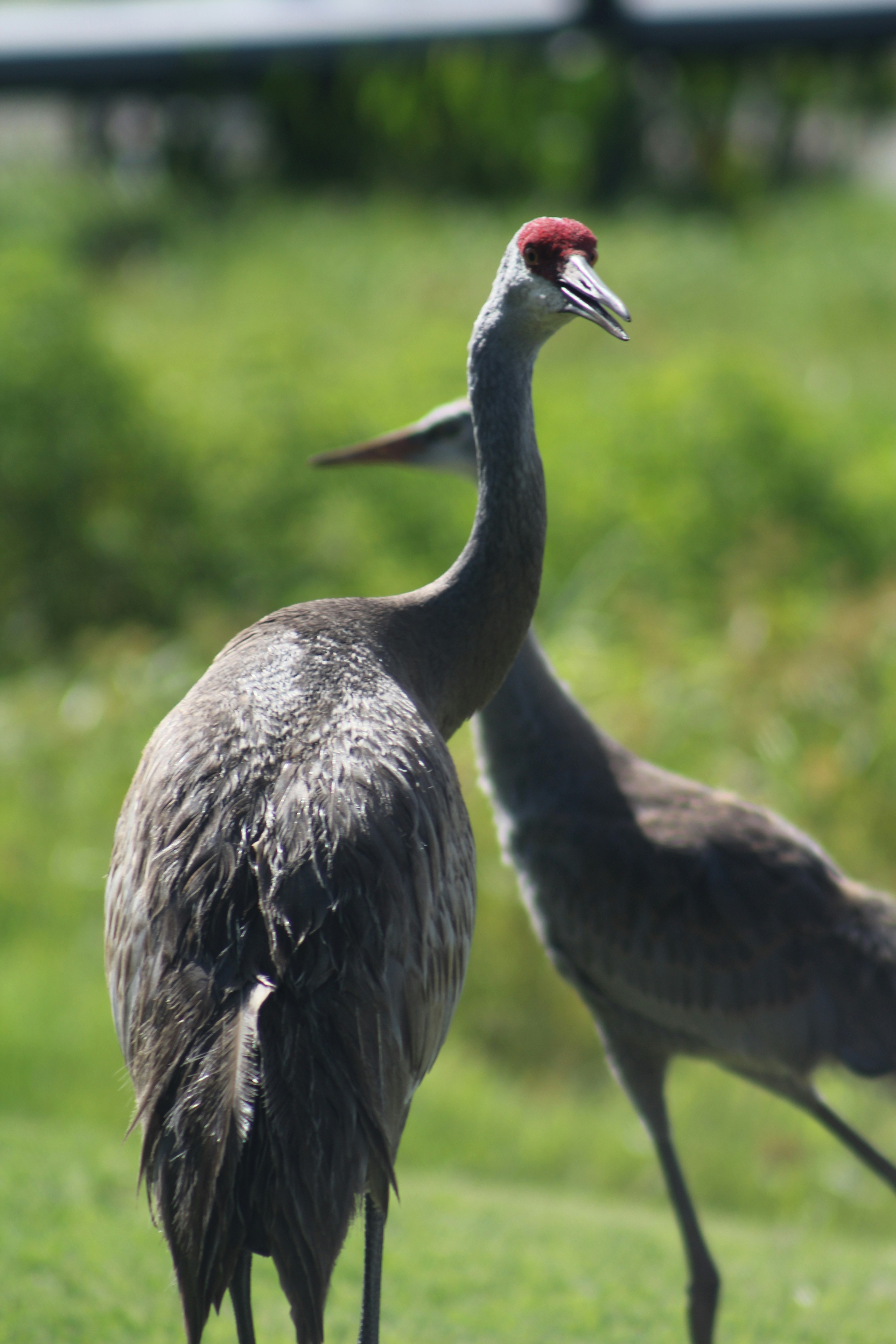 Photo by covershotsphotos