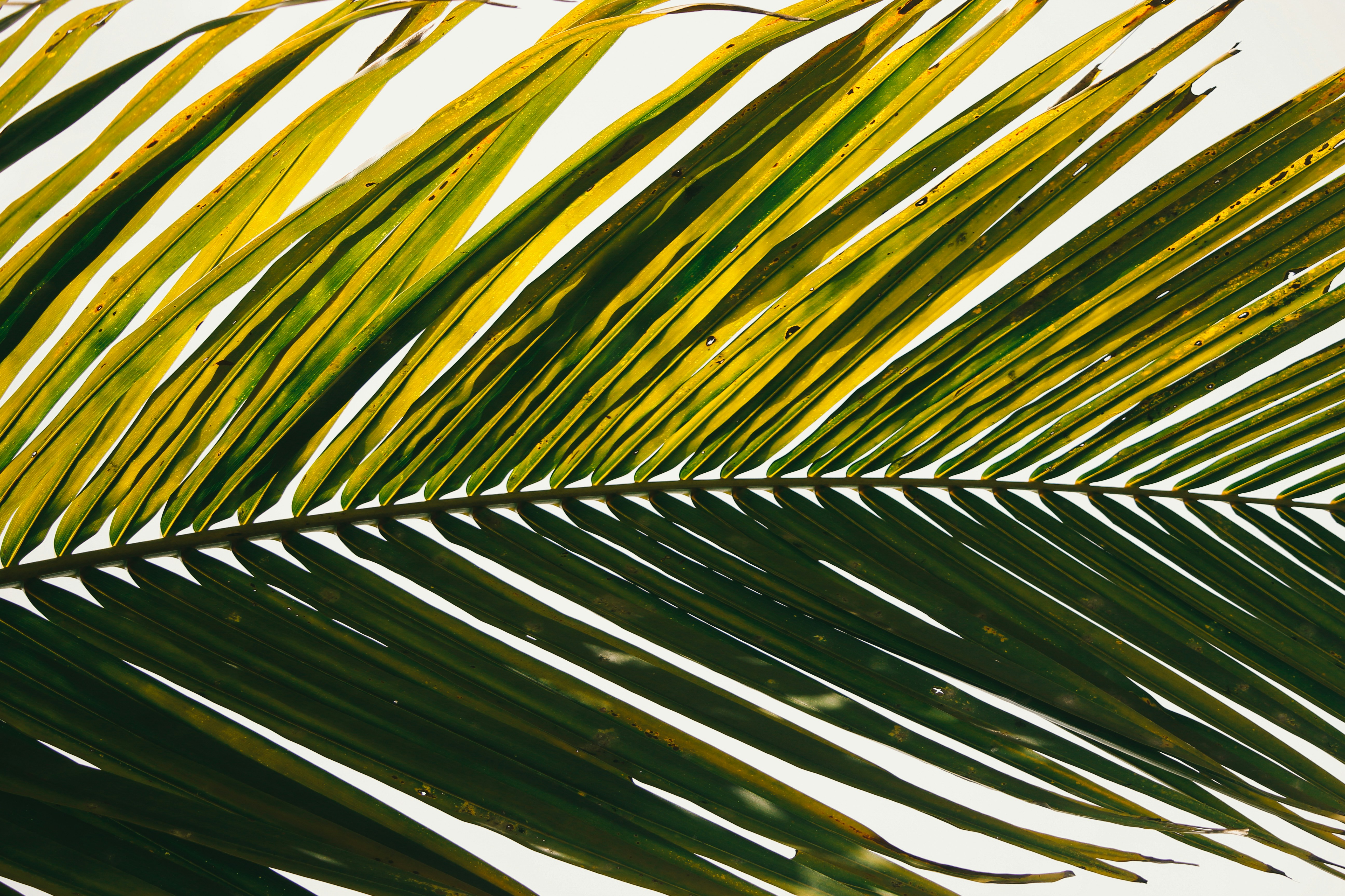 Photo by _a_m_e_e_n_