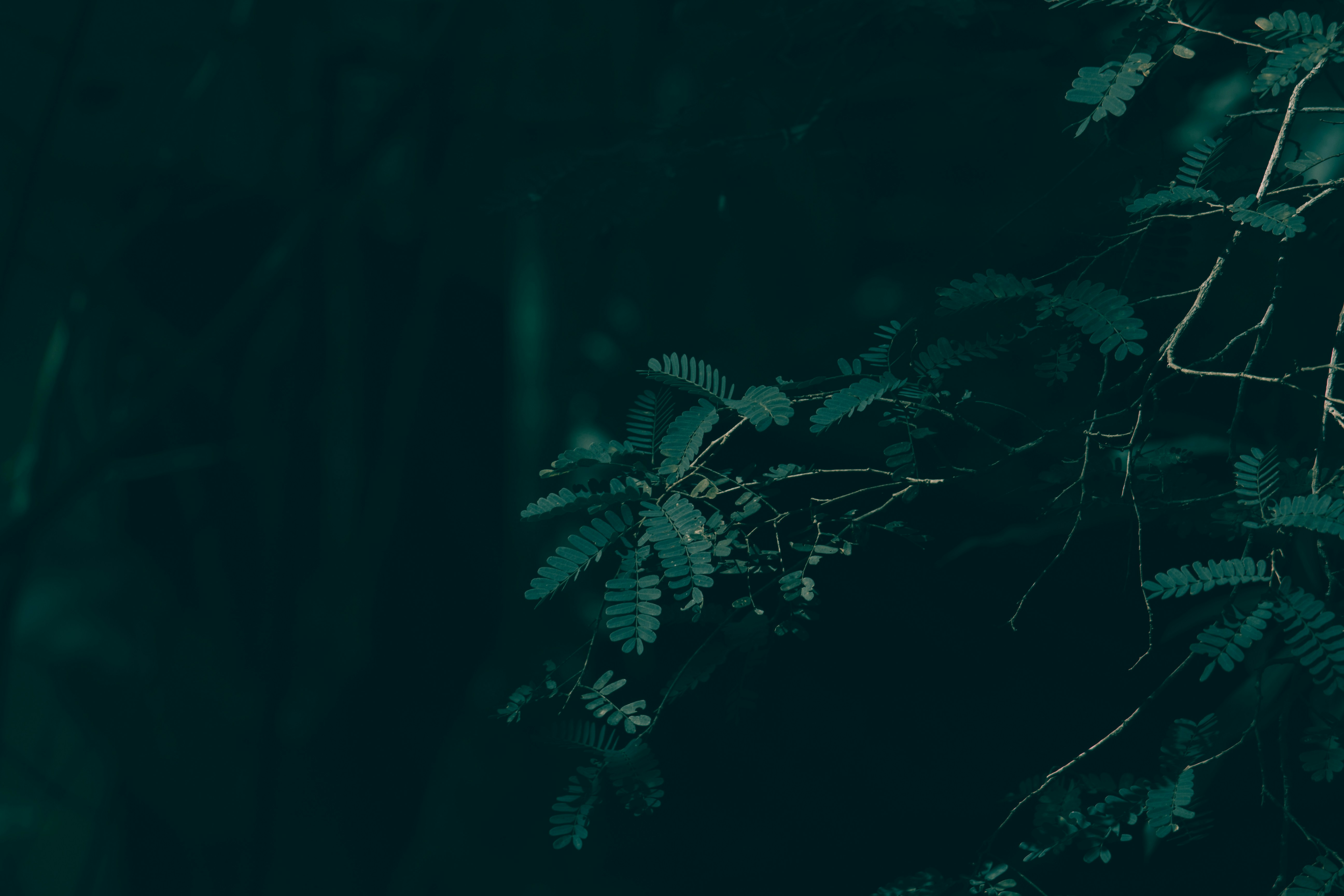 Photo by _a_m_e_e_n_