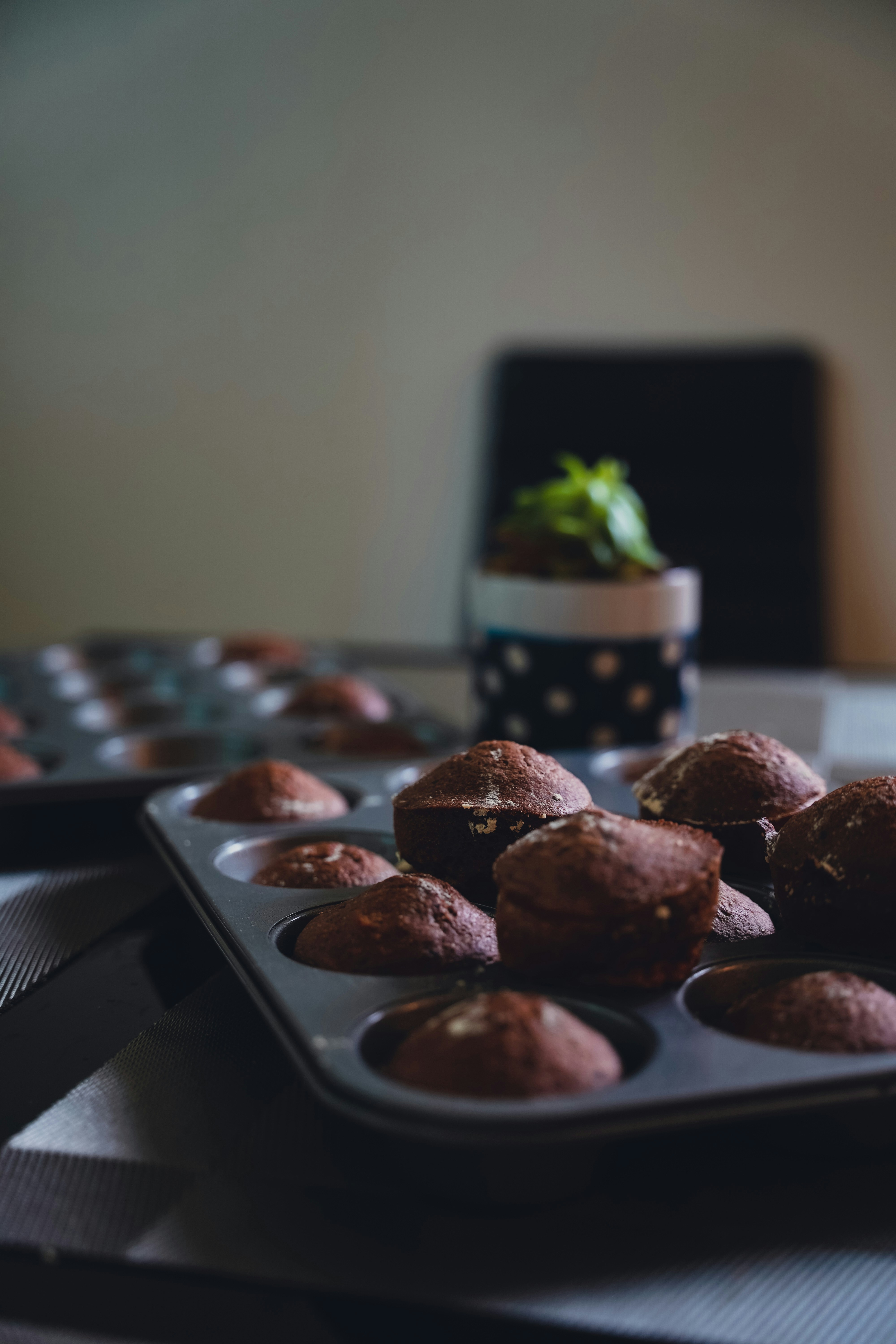 Photo by darpanvisuals