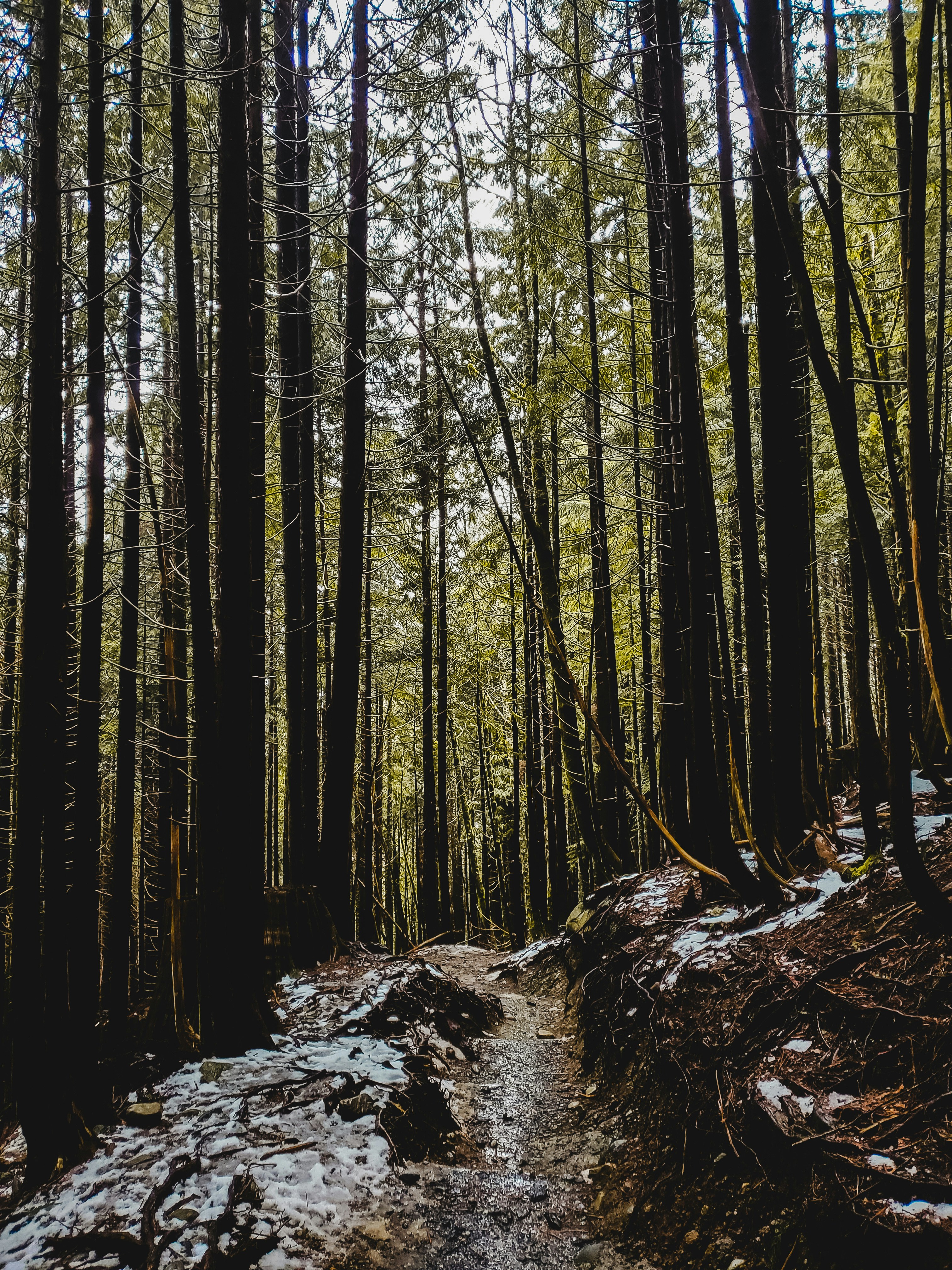 Photo by darpanvisuals