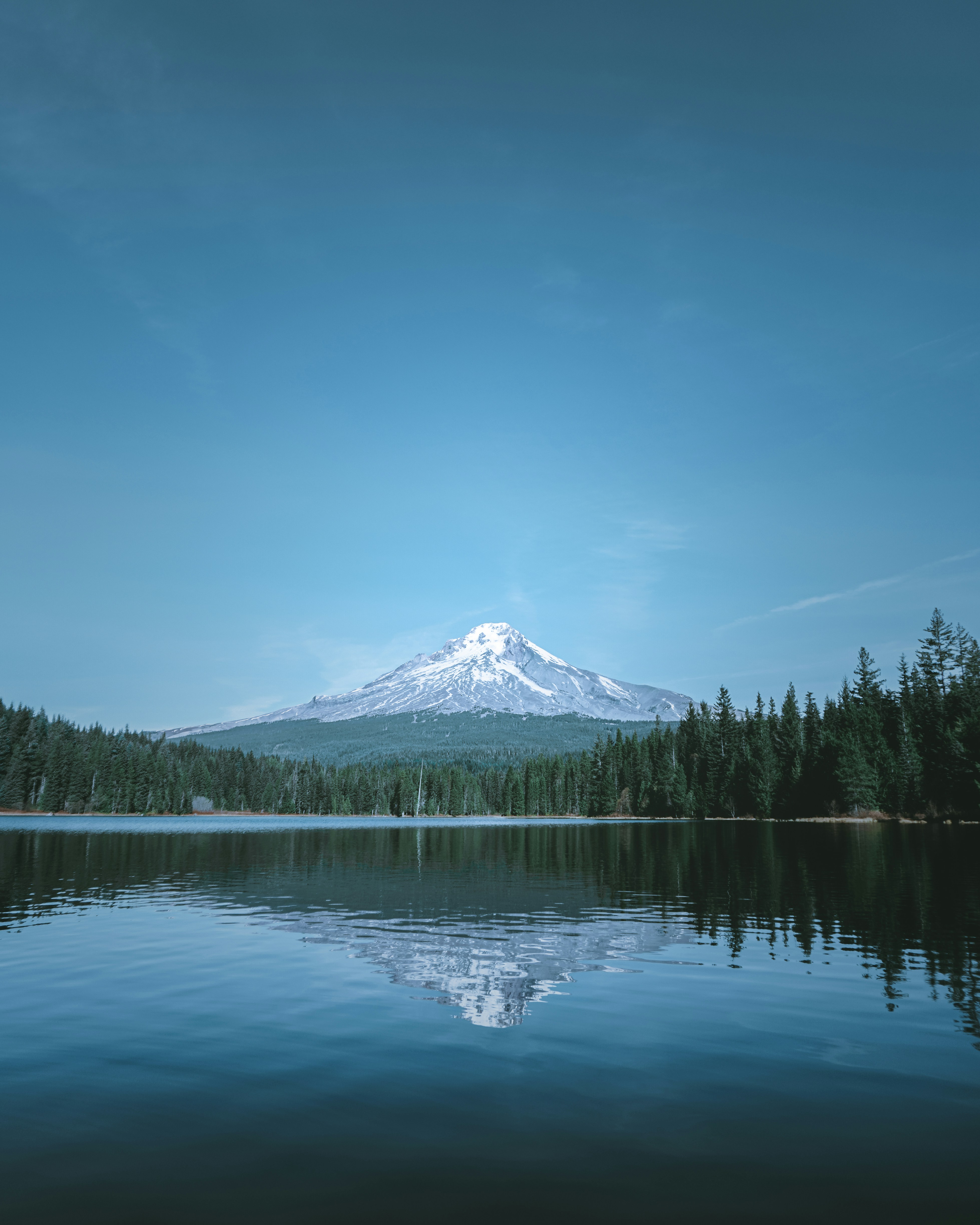 Photo by darpanvisuals