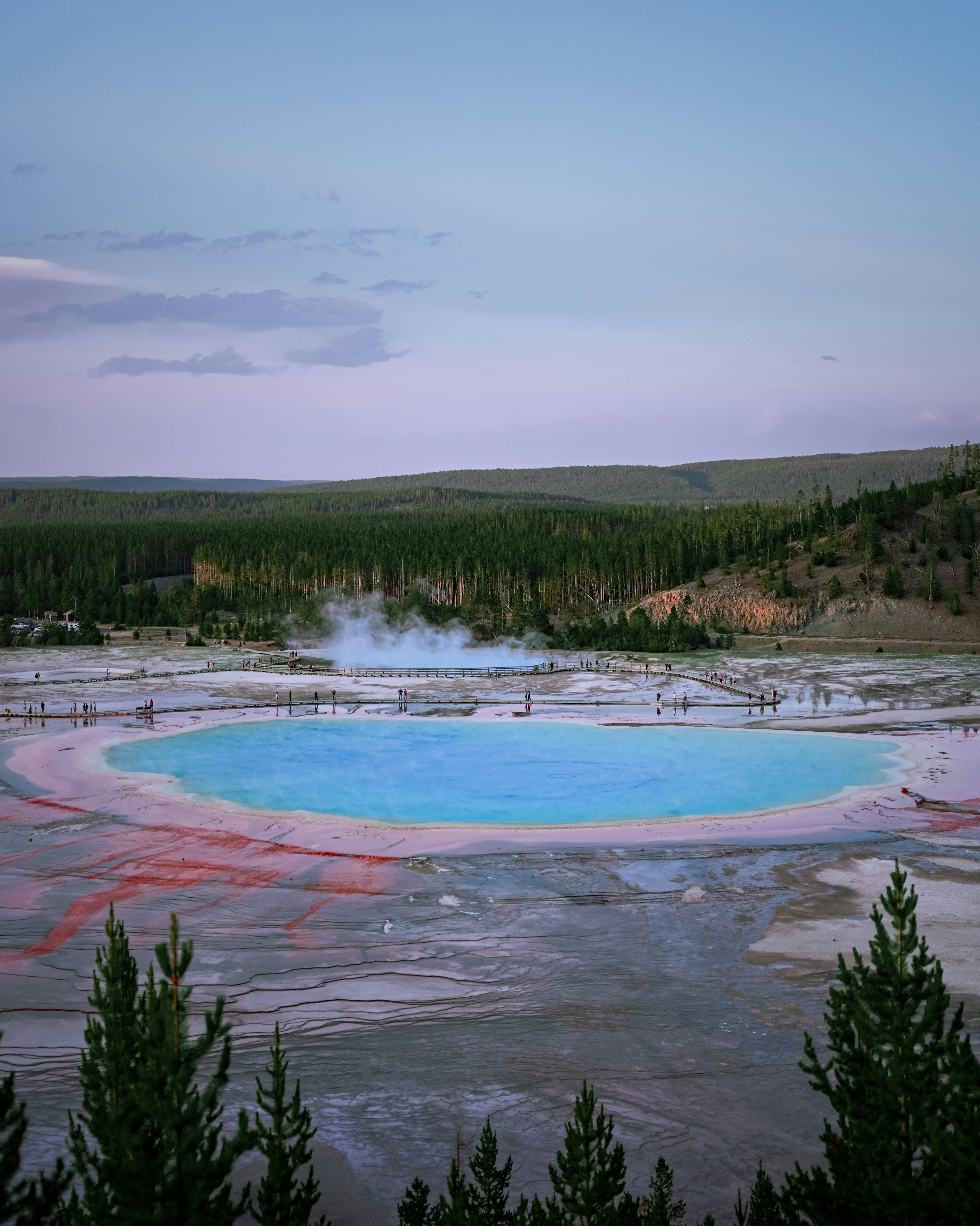 green trees and white clouds during daytime
