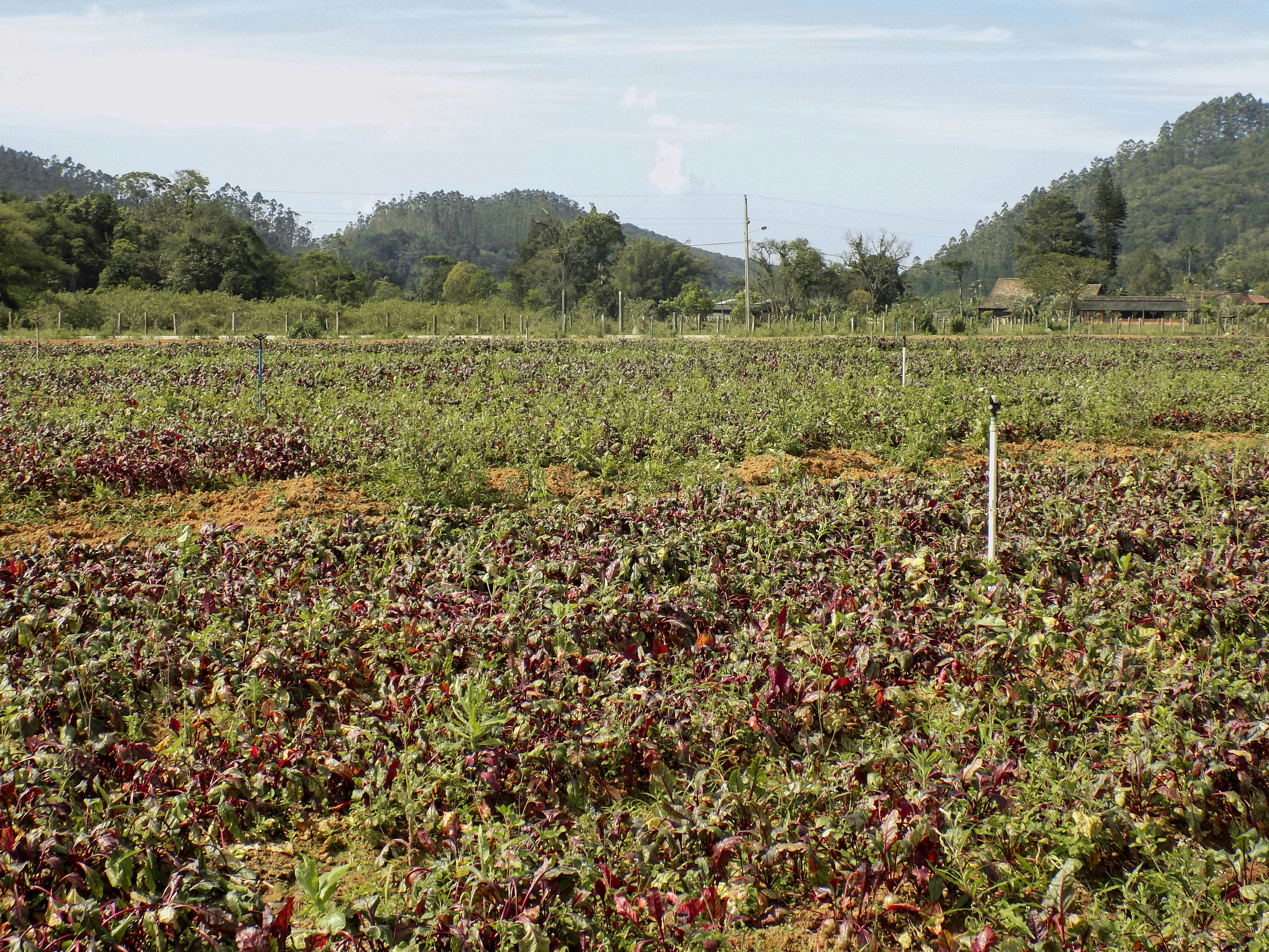 Reconnecting Agricultural Stakeholders: The Role of the Farreach 1 Toolkit