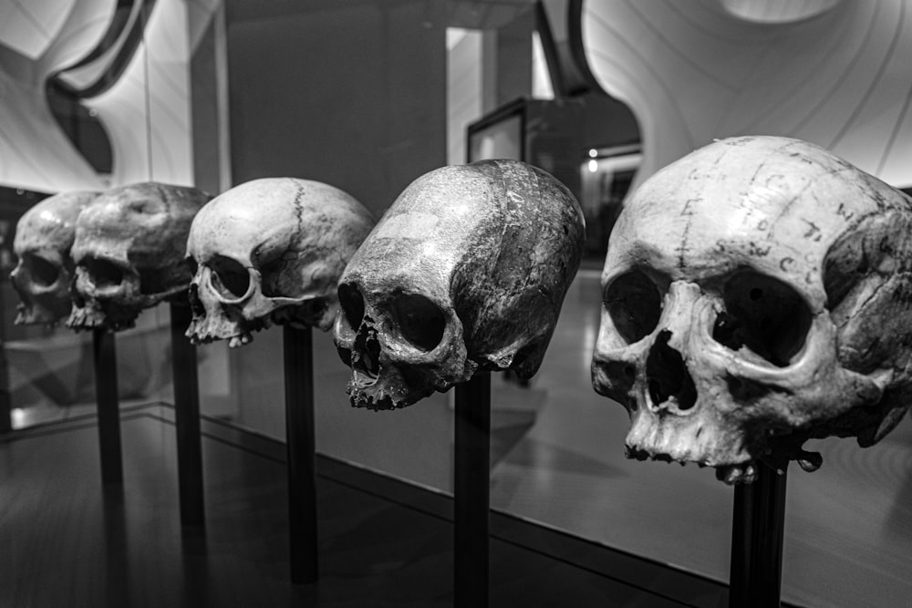 grayscale photo of skull on glass