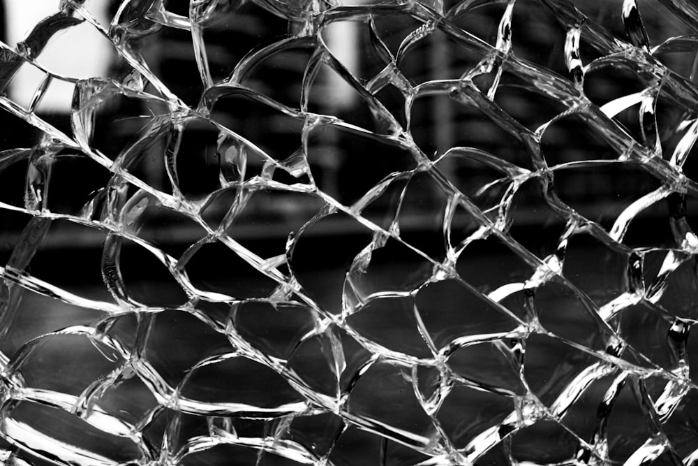 grayscale photo of chain link fence