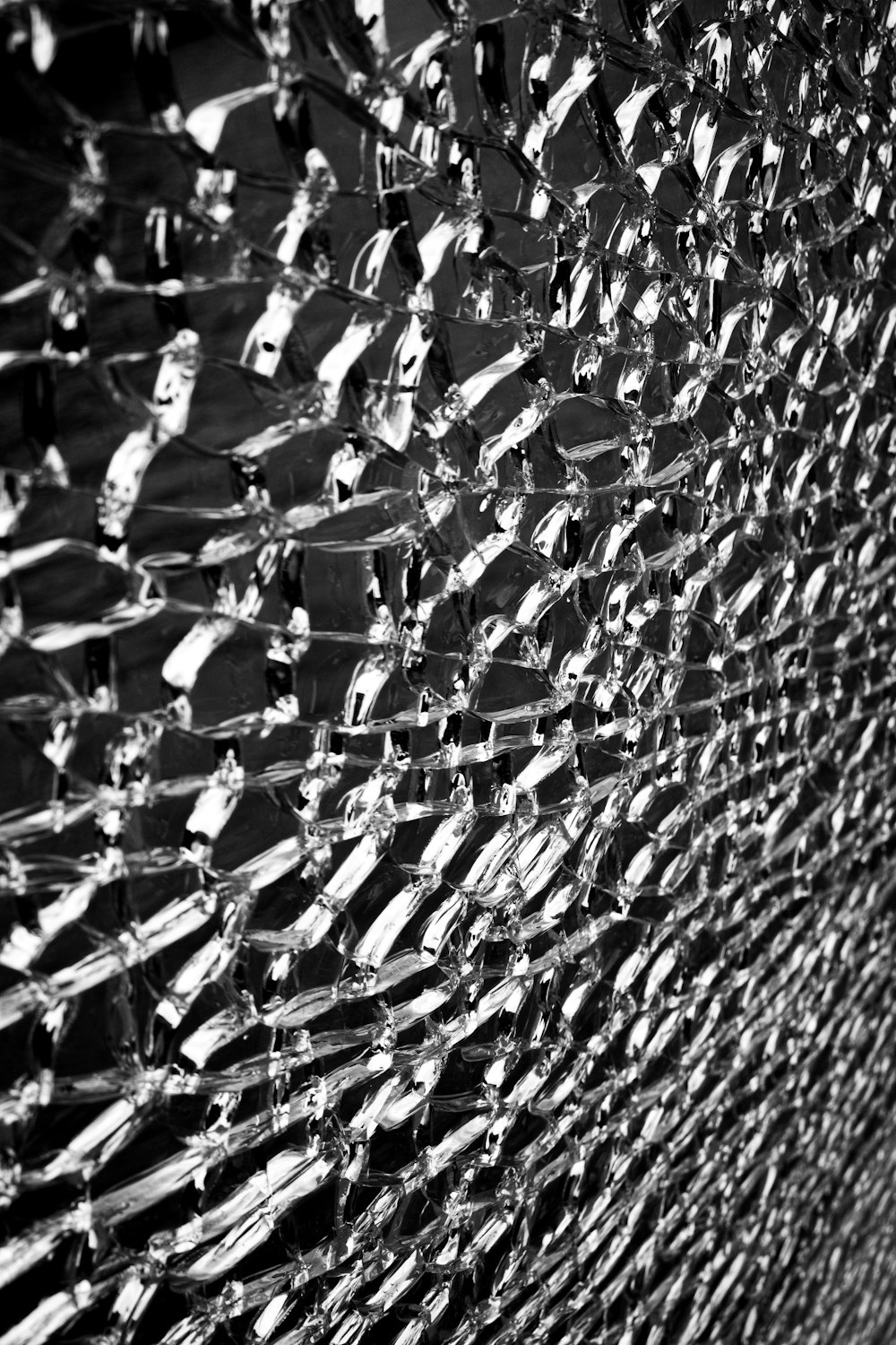 grayscale photo of a chain link fence