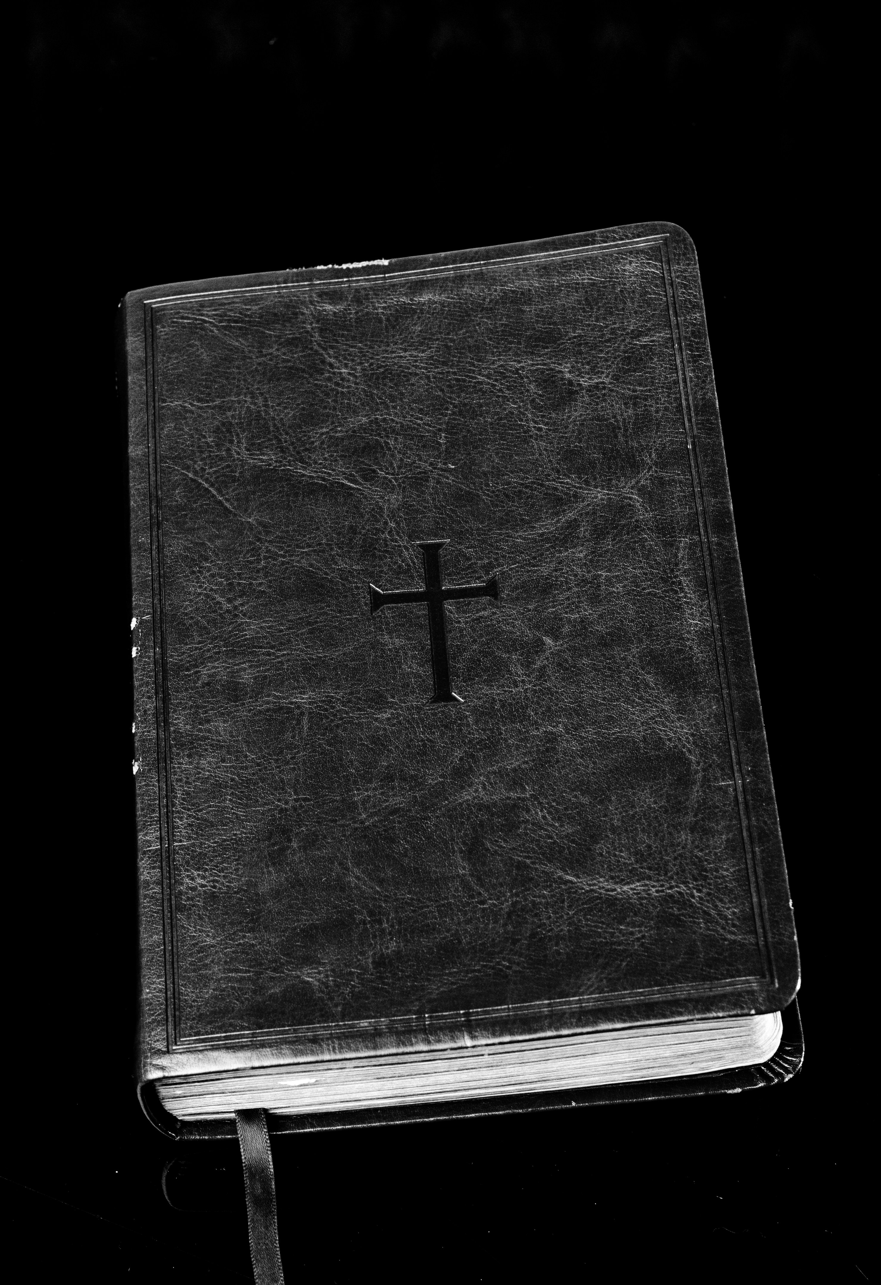 Photo by stewardesign