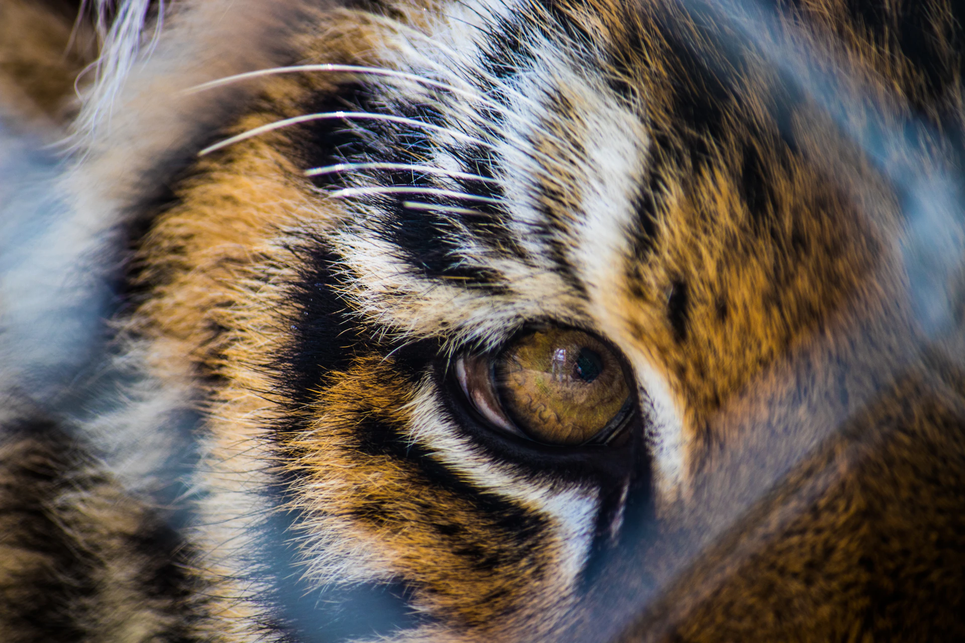 gray computer monitor