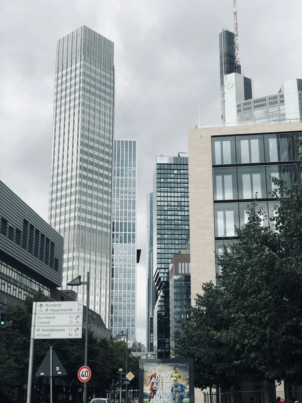 green trees near high rise buildings during daytime