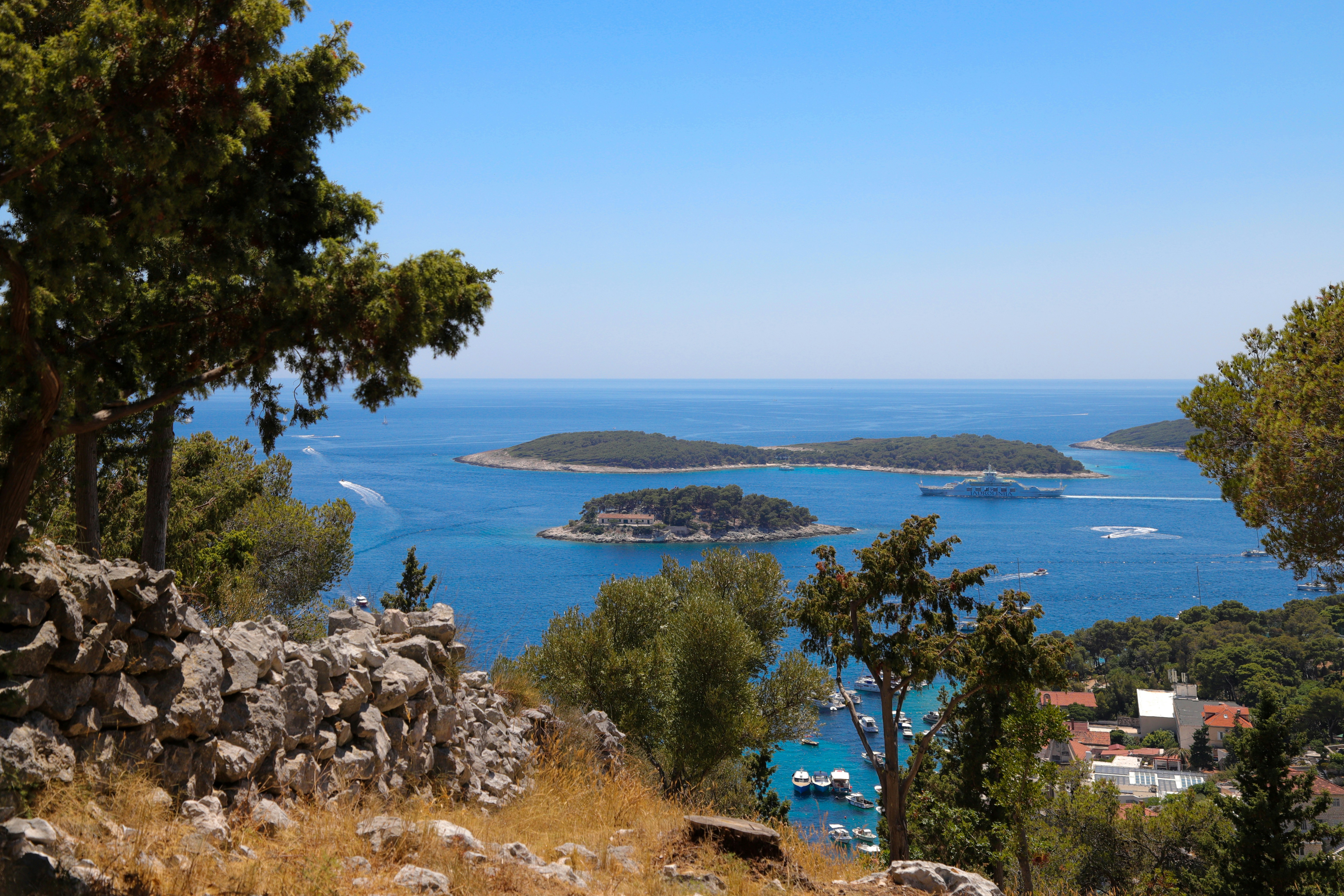 Grüne Bäume in der Nähe des blauen Meeres unter blauem Himmel während des Tages