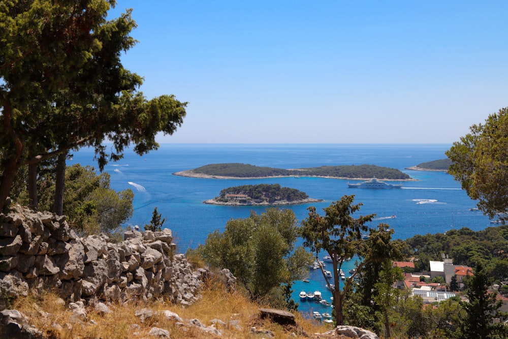 green trees near blue sea under blue sky during daytime