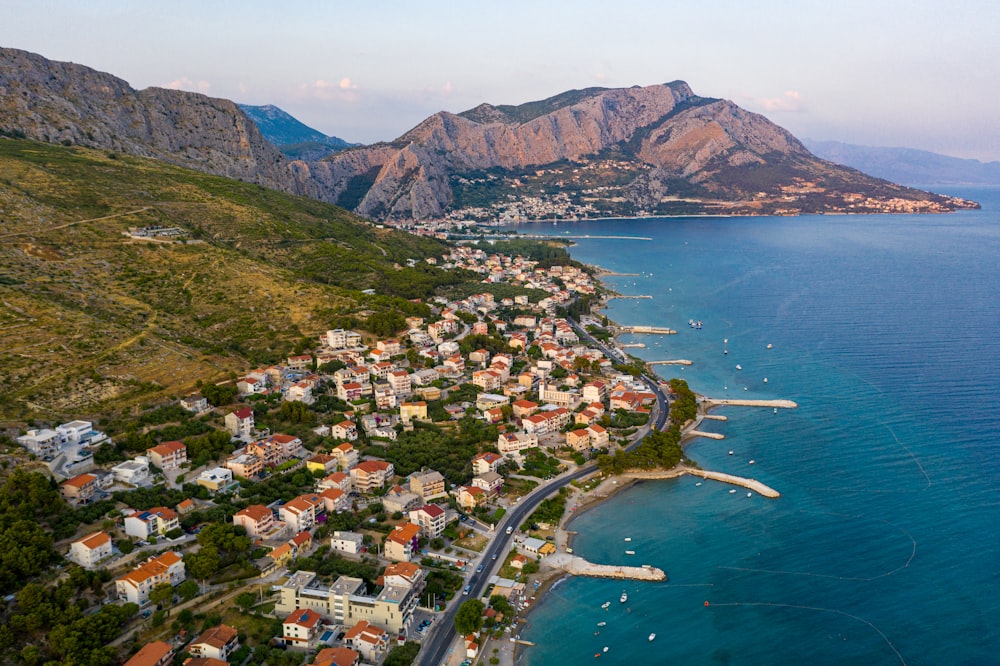 aerial view of green trees and mountain near body of water during daytime