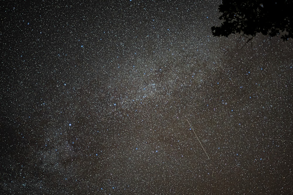 black and white stars on black sky