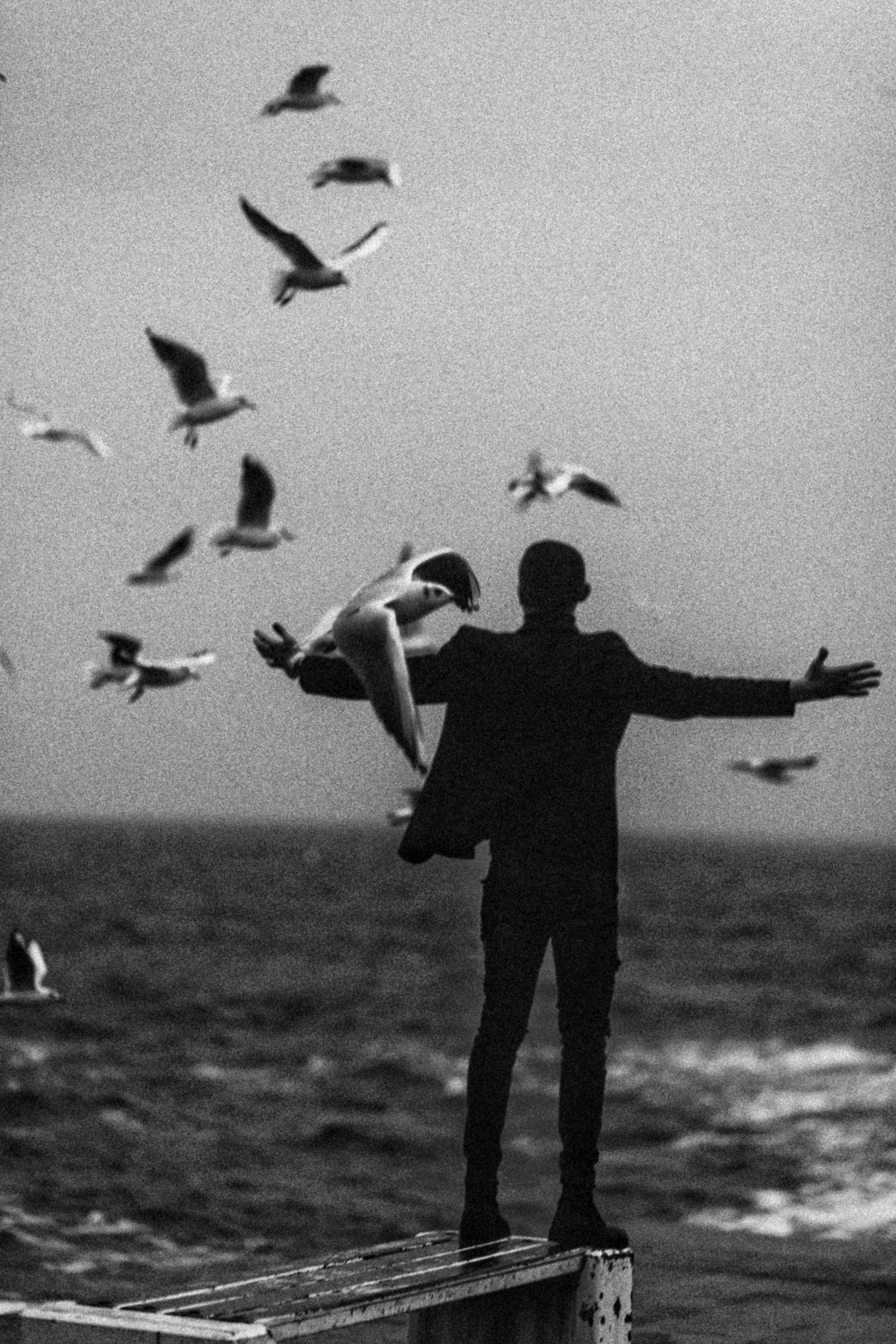 man in black t-shirt and pants with white and black birds in mid air in in in in in