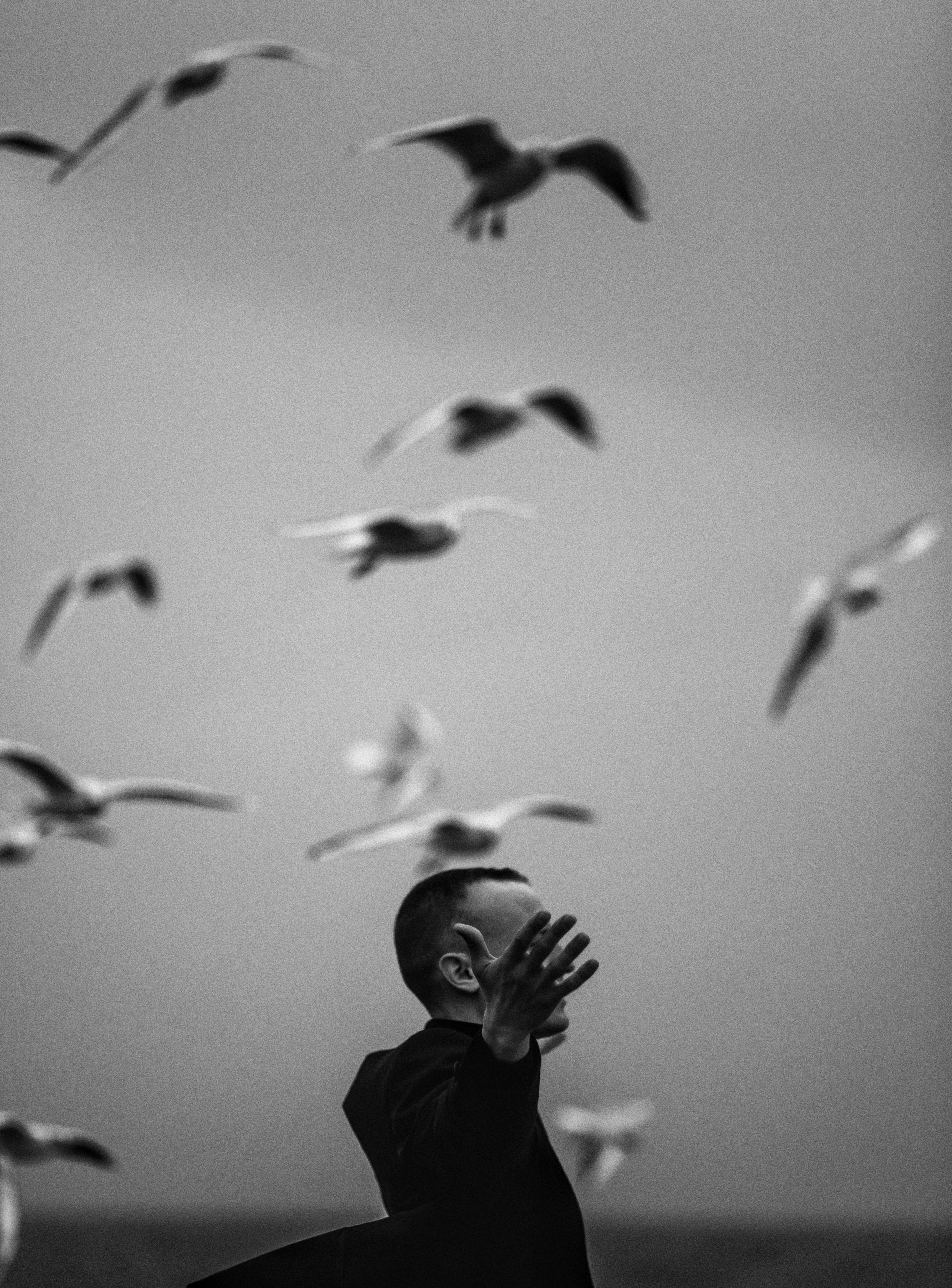 grayscale photo of man in black jacket looking at the birds