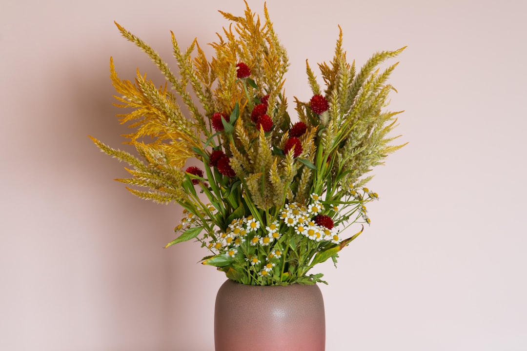 green and red plant on brown ceramic vase