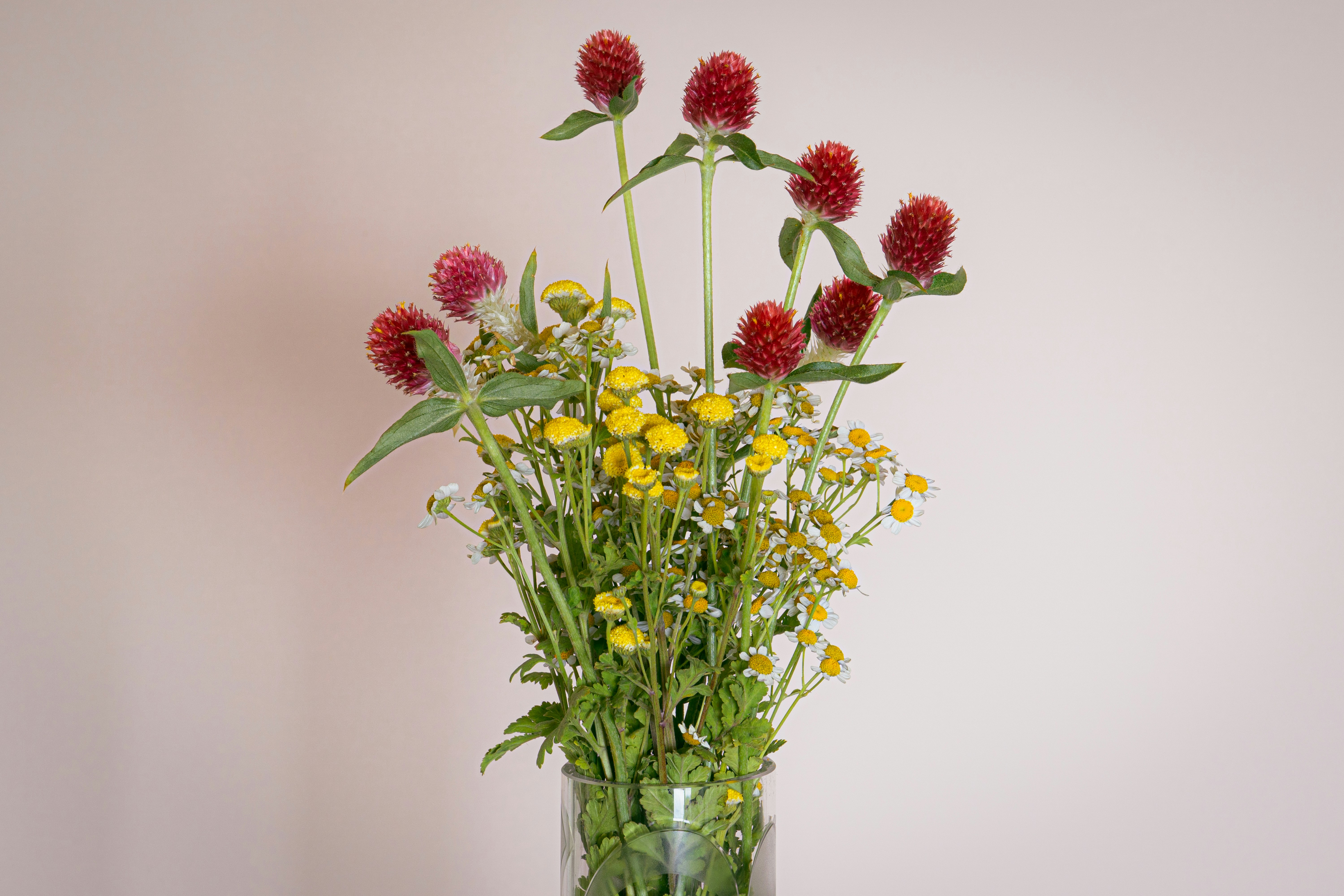 Colorful wildflower painting in pastel pink and yellow on white canvas in bright studio
