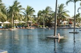 A beautiful outdoor pool surrounded by lounge chairs and palm trees.