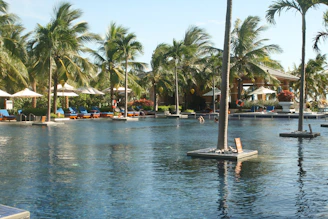 The outdoor pool shimmering under the sun, surrounded by cozy lounge chairs and tropical plants.