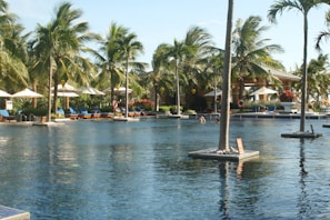 A refreshing swimming pool surrounded by lounge chairs and palm trees.