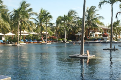 Swimming pool surrounded by tropical plants and lounge chairs.