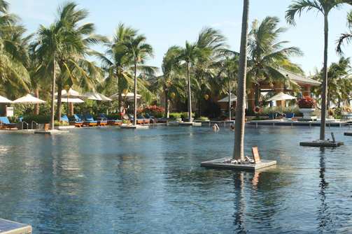 A sparkling new swimming pool surrounded by lush landscaping and comfortable lounge chairs.