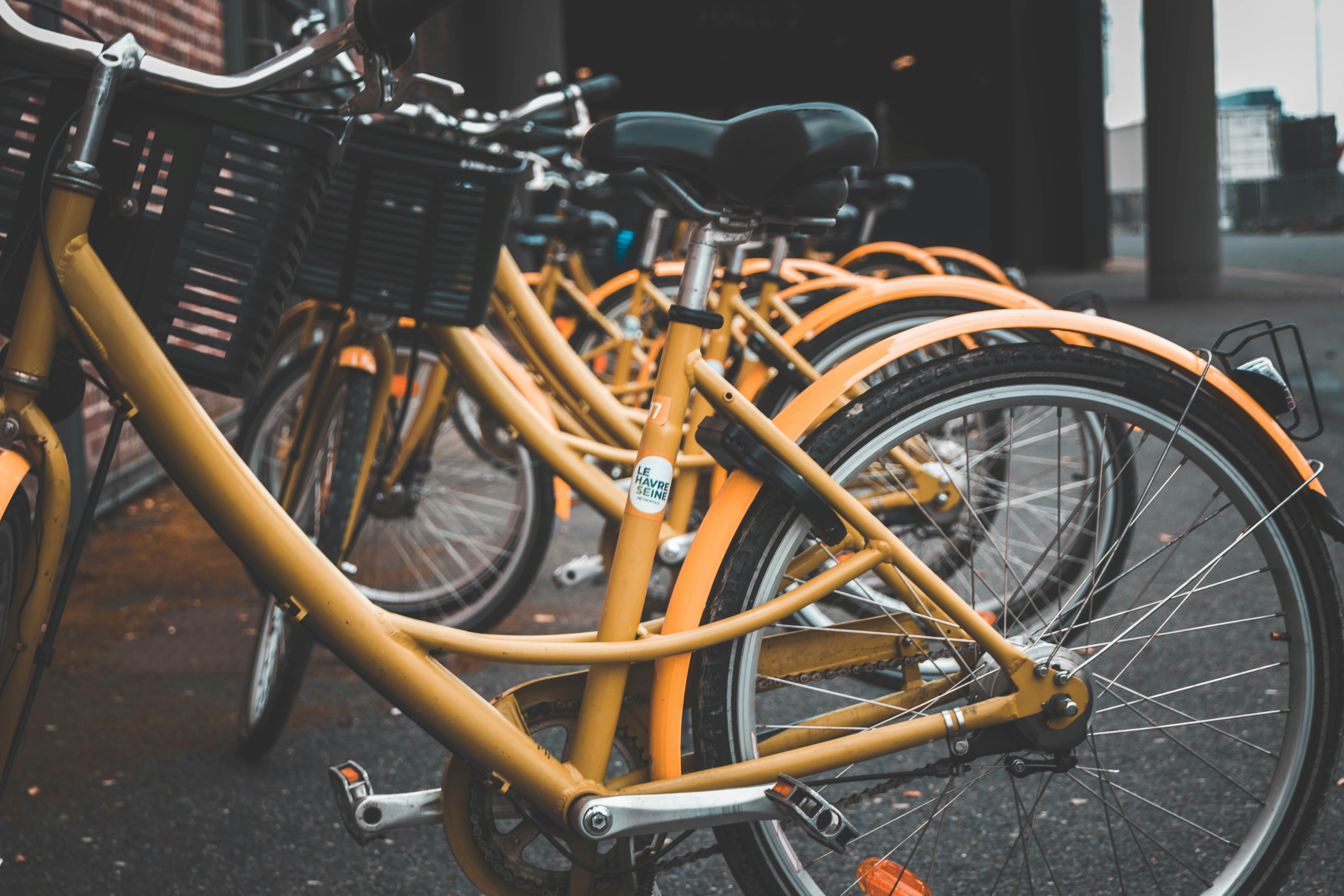 partida de futebol da frança