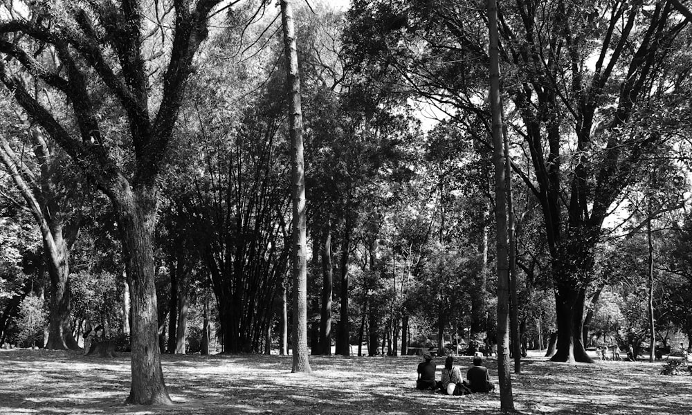 grayscale photo of people sitting on bench surrounded by trees