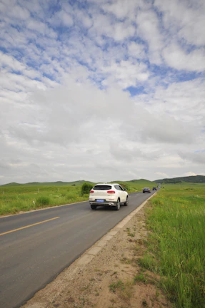 A spacious SUV on a scenic road surrounded by green fields near Jhansi.