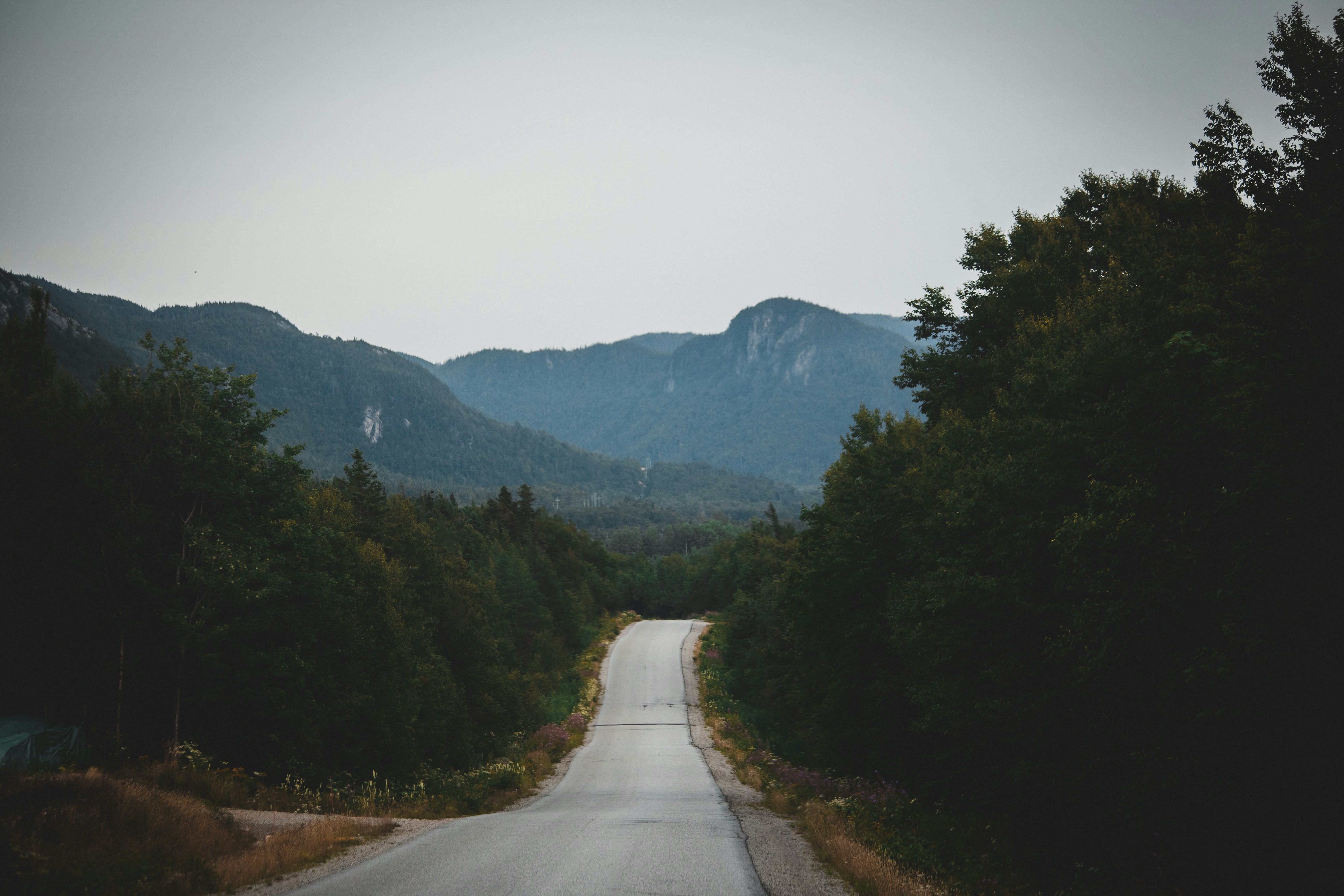 Photo by introspectivedsgn