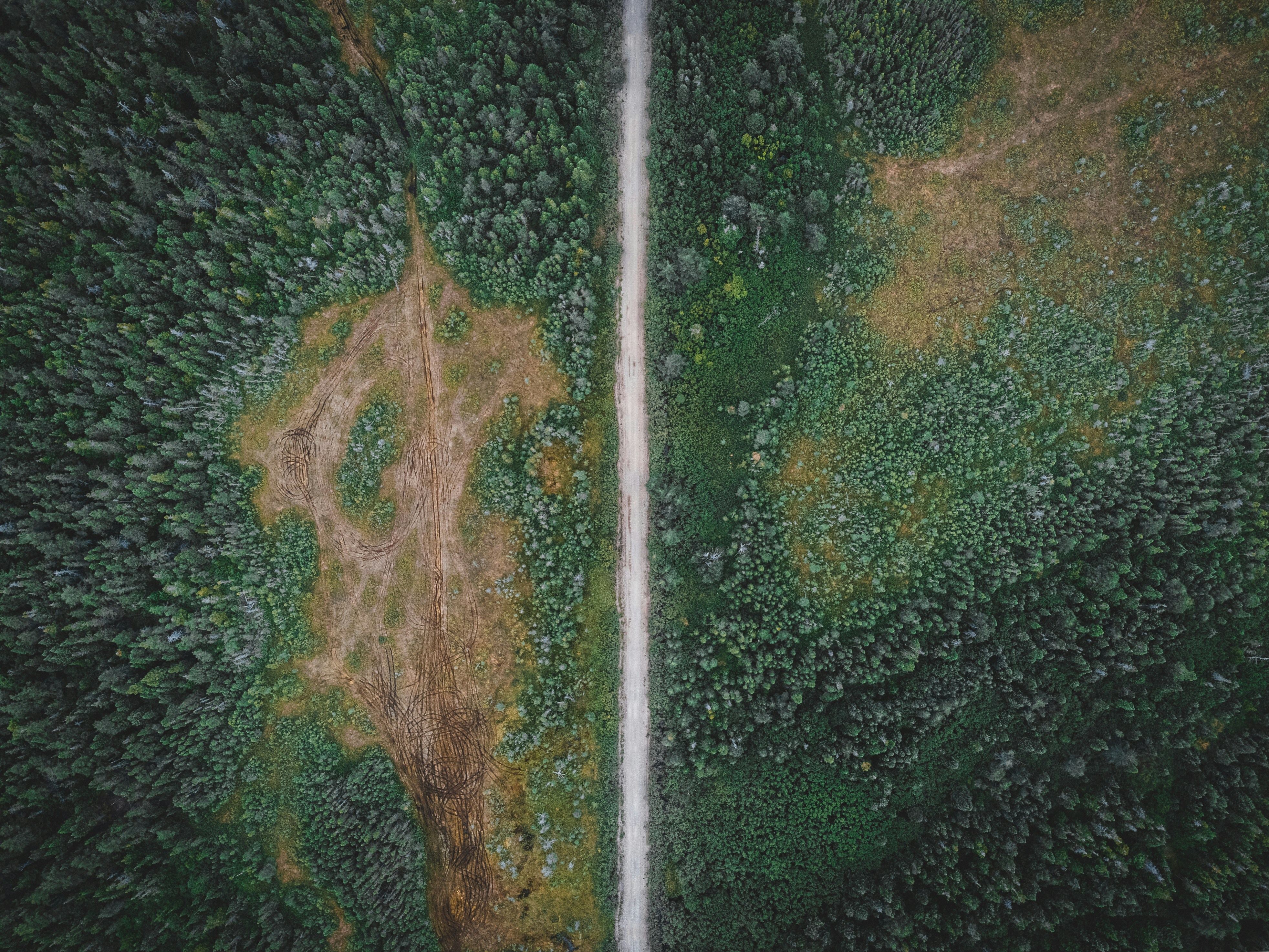 Photo by introspectivedsgn