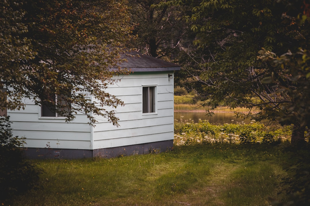 white wooden house near brown tree