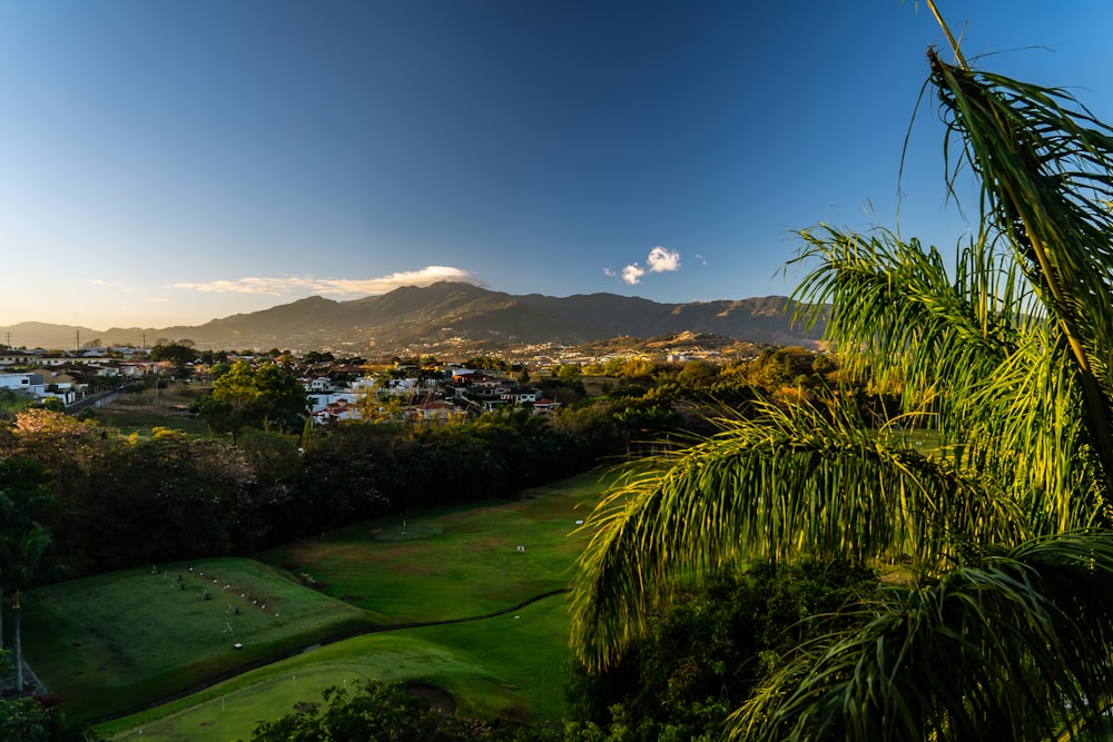 green grass field near green mountains under blue sky during daytime