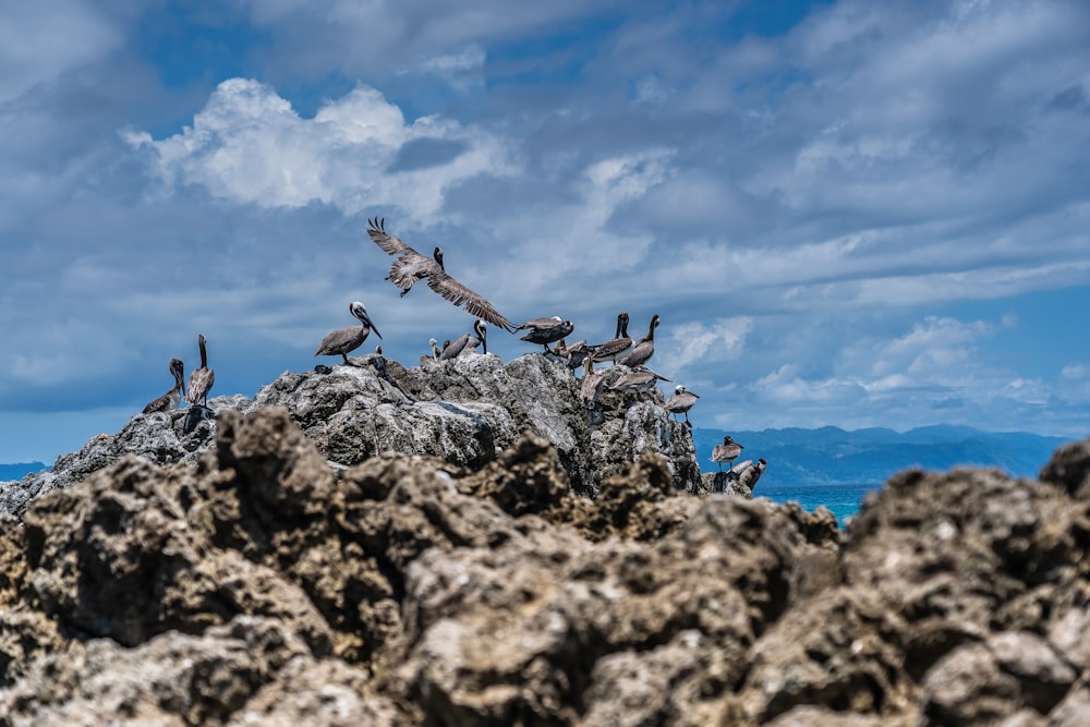 people on rocky hill under blue and white cloudy sky during daytime