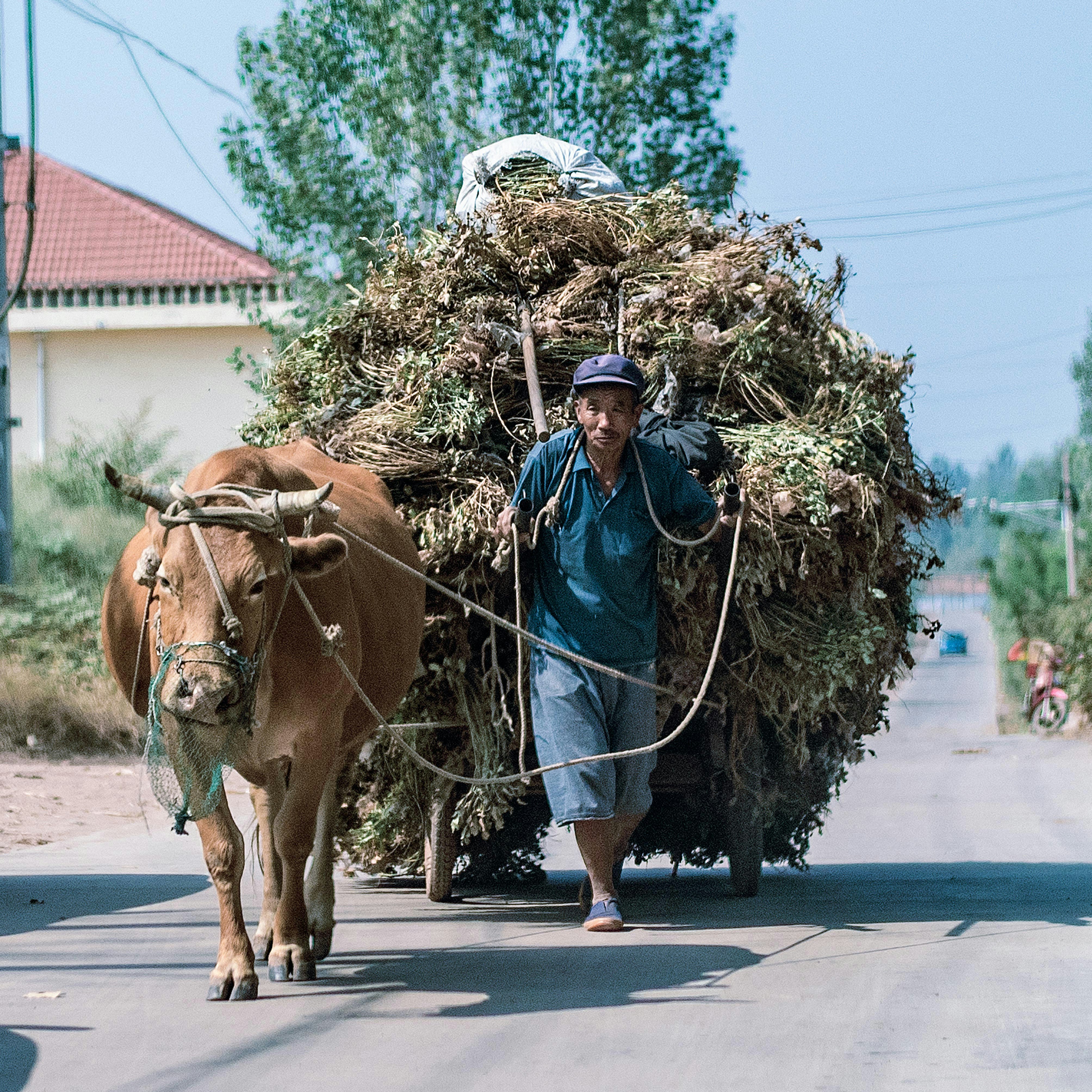 Photo by fuyouzhimeng