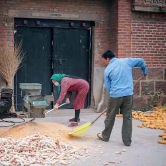 Two people are engaged in processing harvested corn outside a building with a brick wall. One person is wearing a headscarf and checkered clothing, using a tool to shovel corn into a machine. The other person, dressed in a blue jacket, is aiding with the process. Corn cobs and kernels are scattered on the ground.