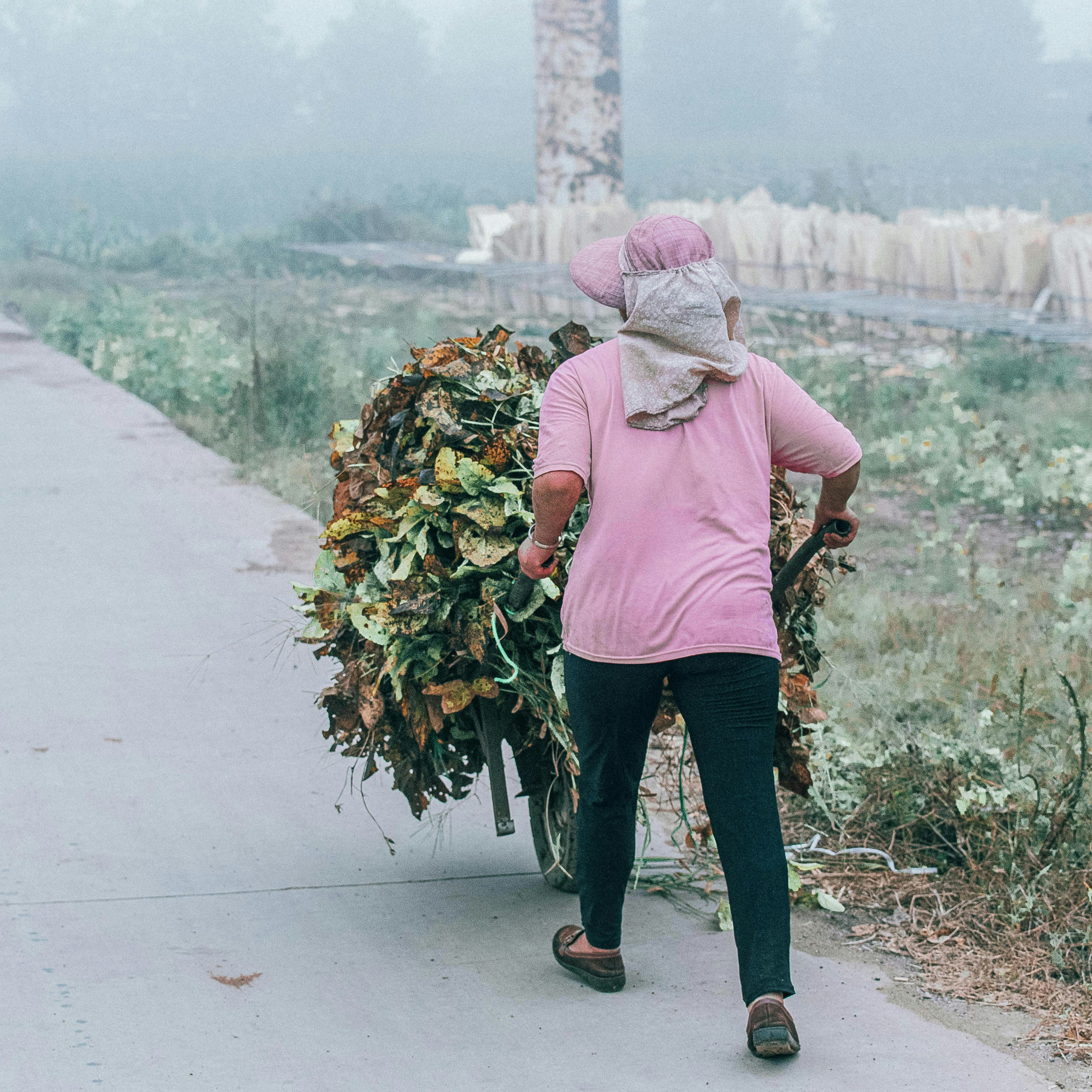 Photo by fuyouzhimeng