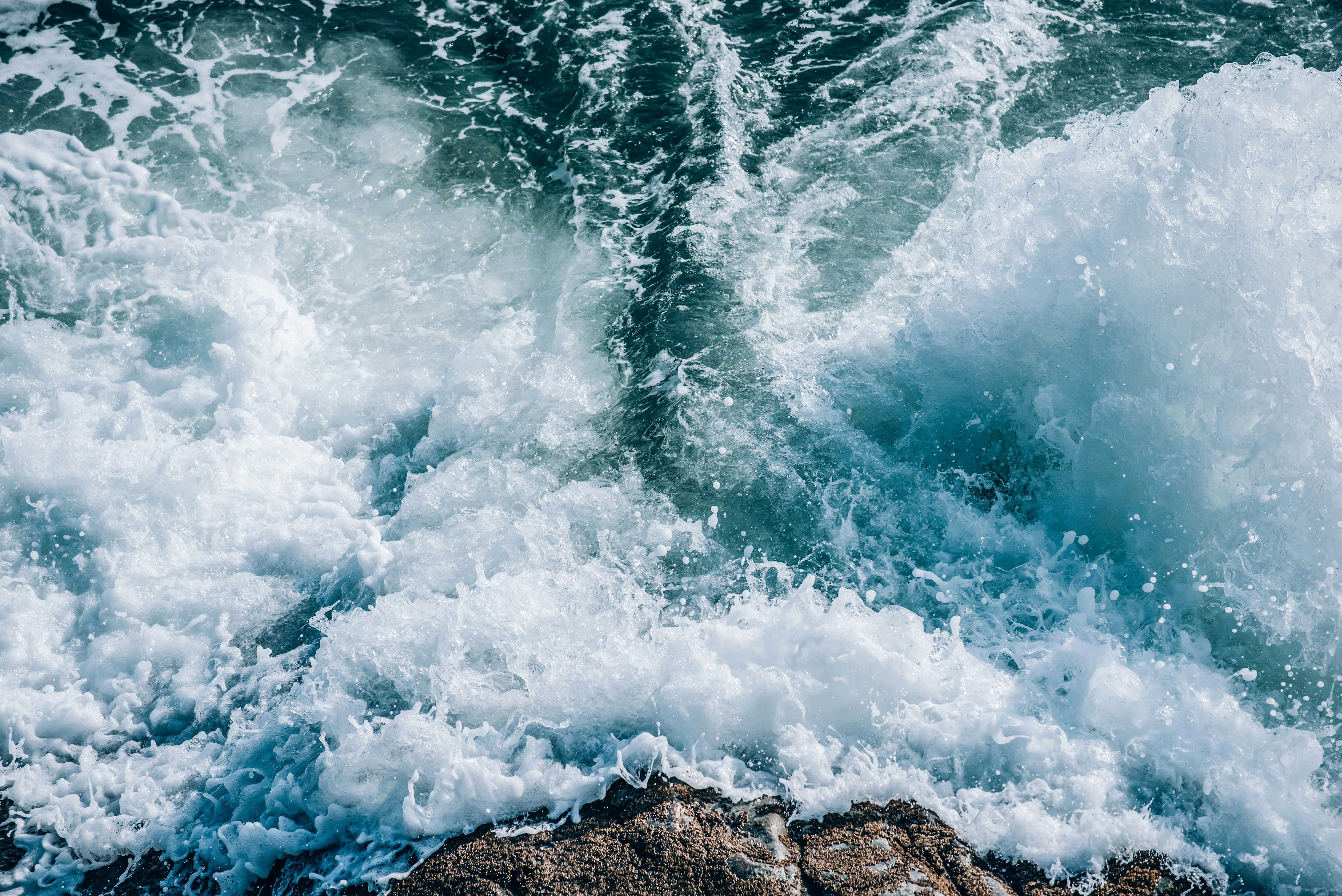 Photo by fuyouzhimeng