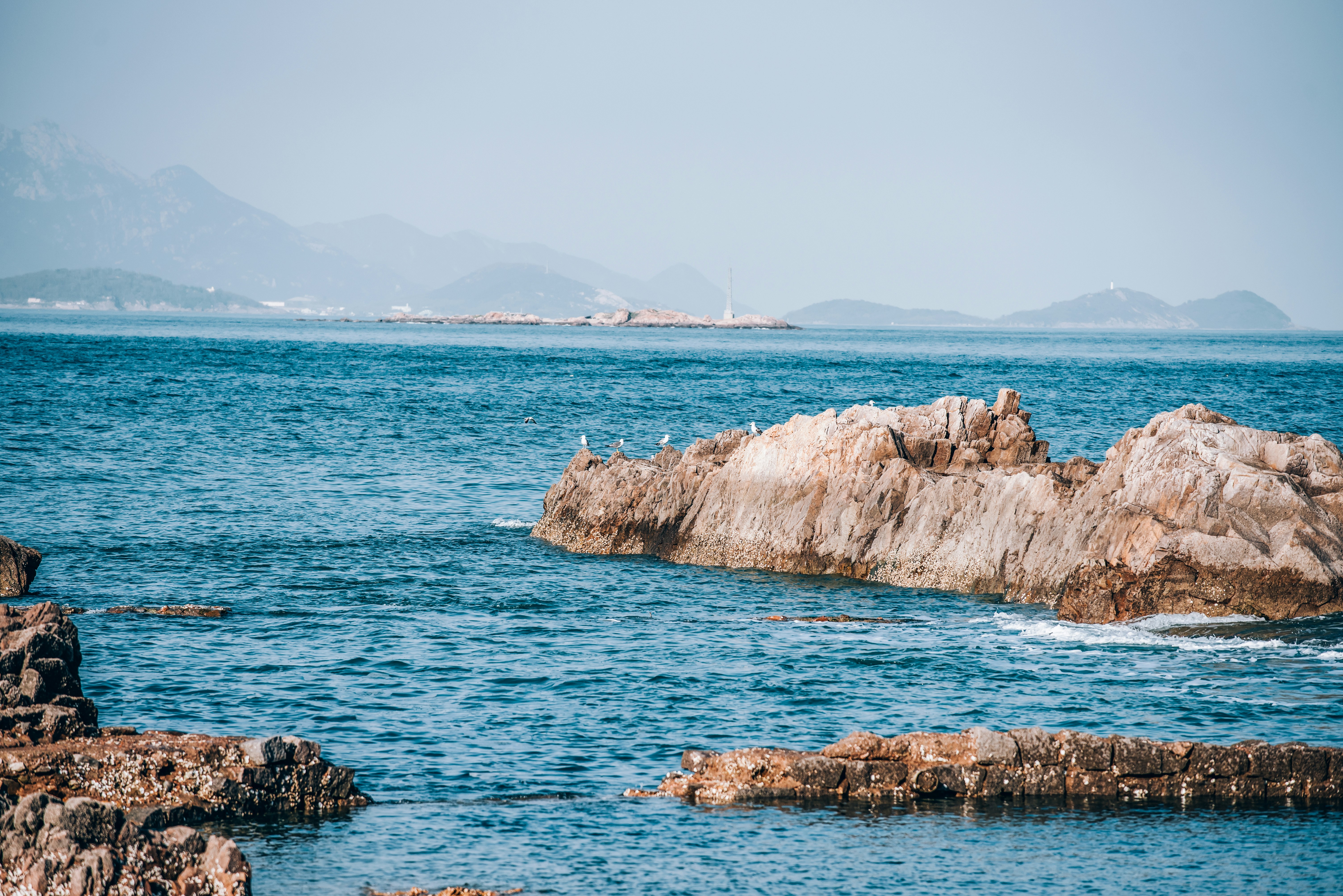 Photo by fuyouzhimeng