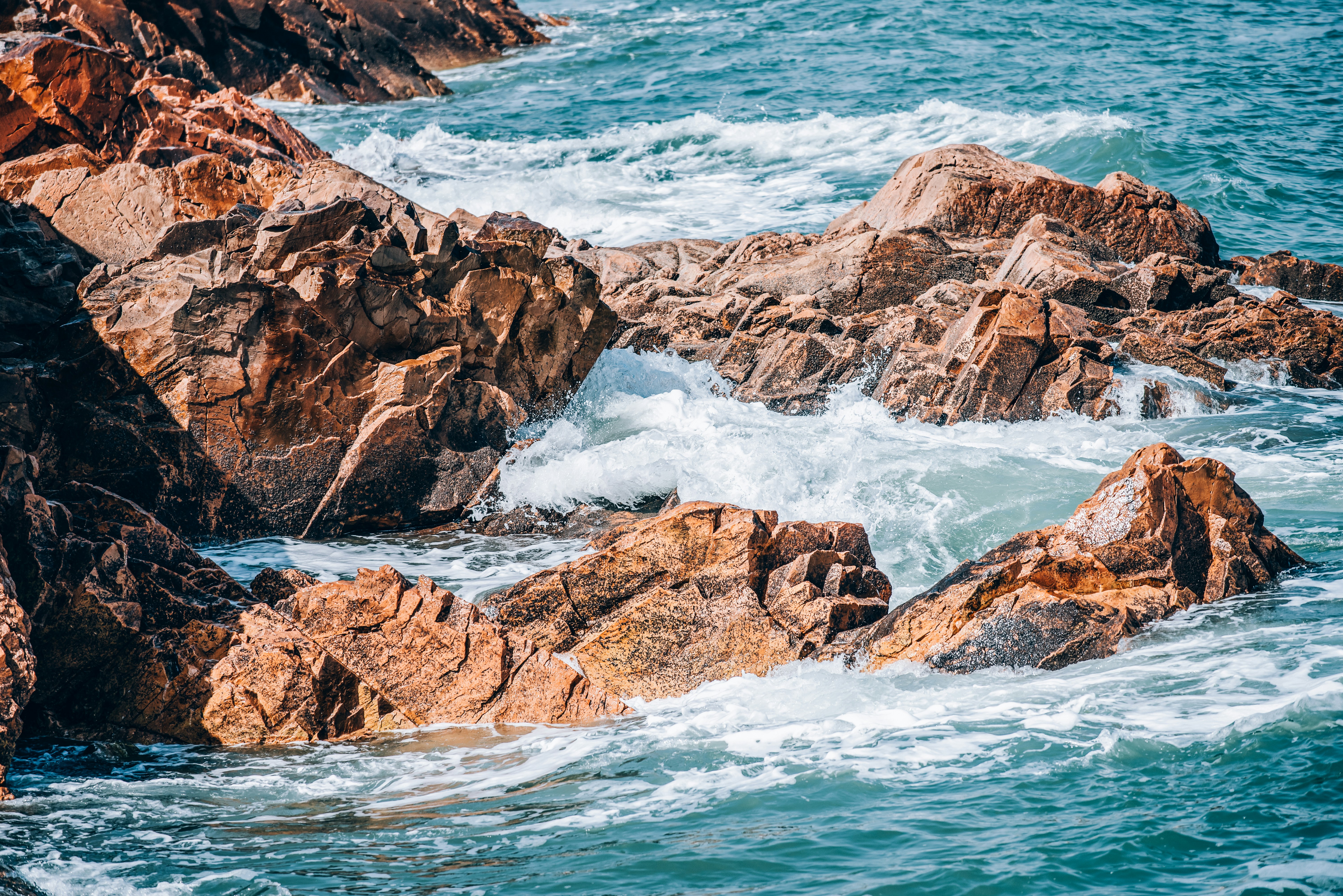 Photo by fuyouzhimeng