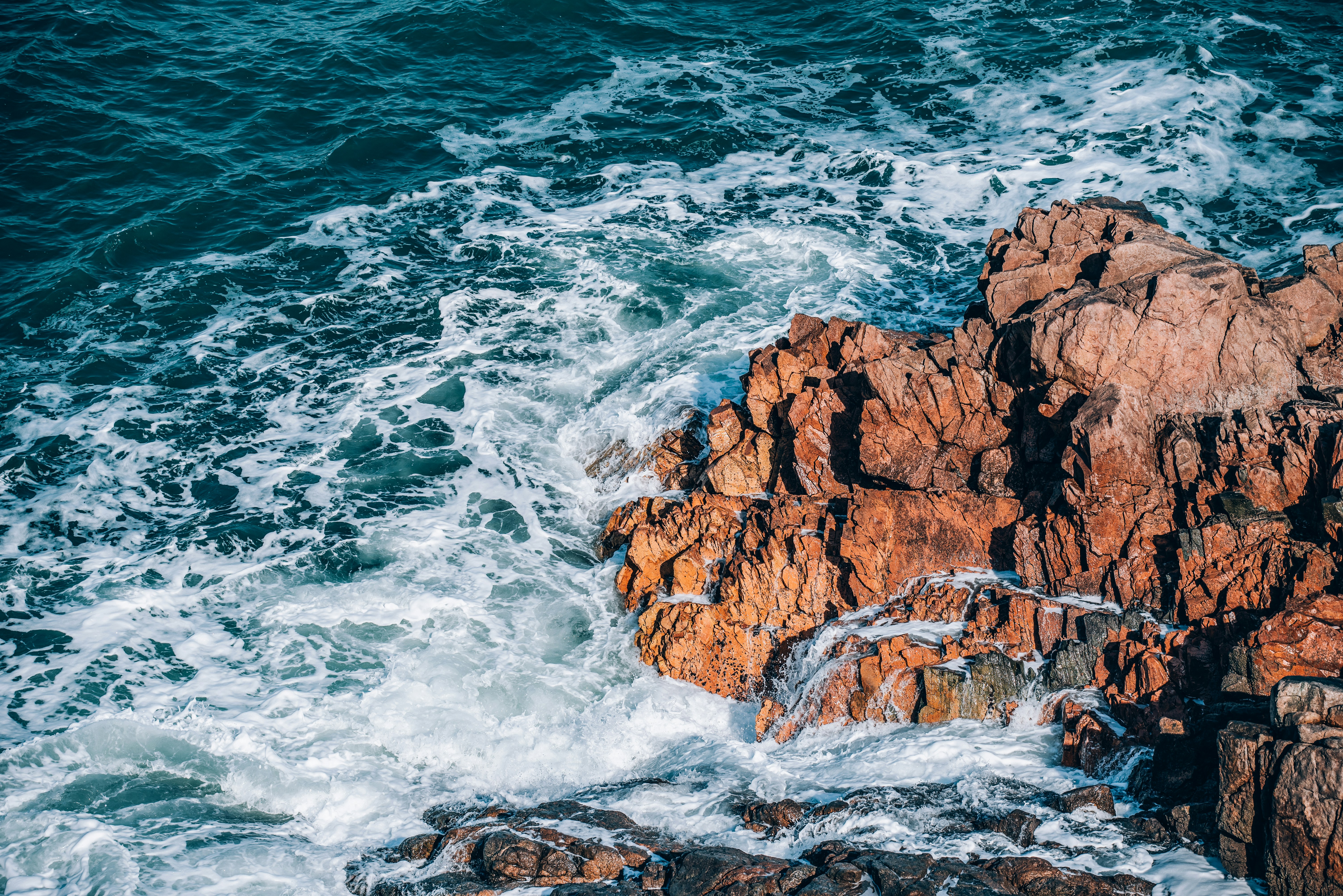 Photo by fuyouzhimeng