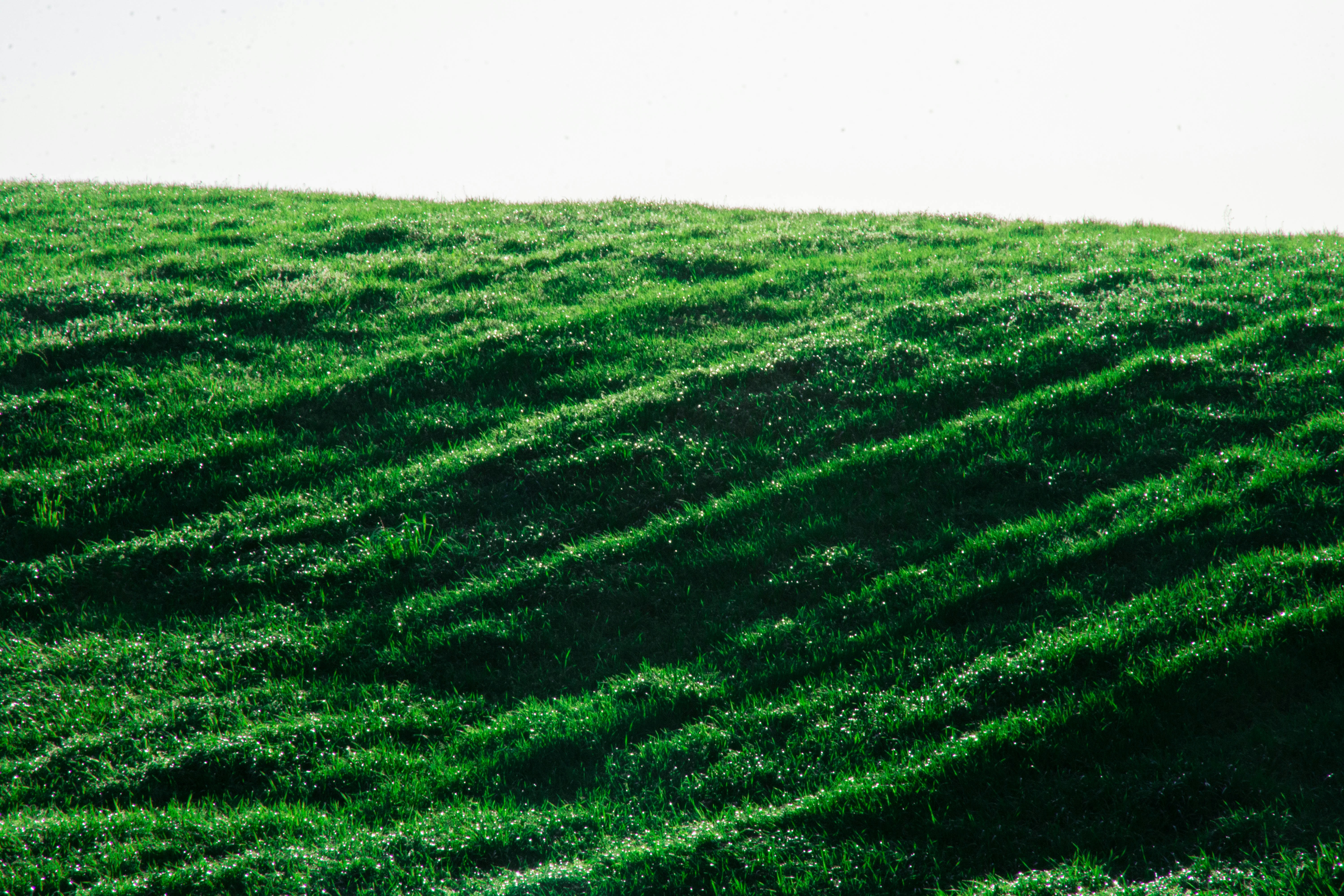 Photo by lucasgwendt