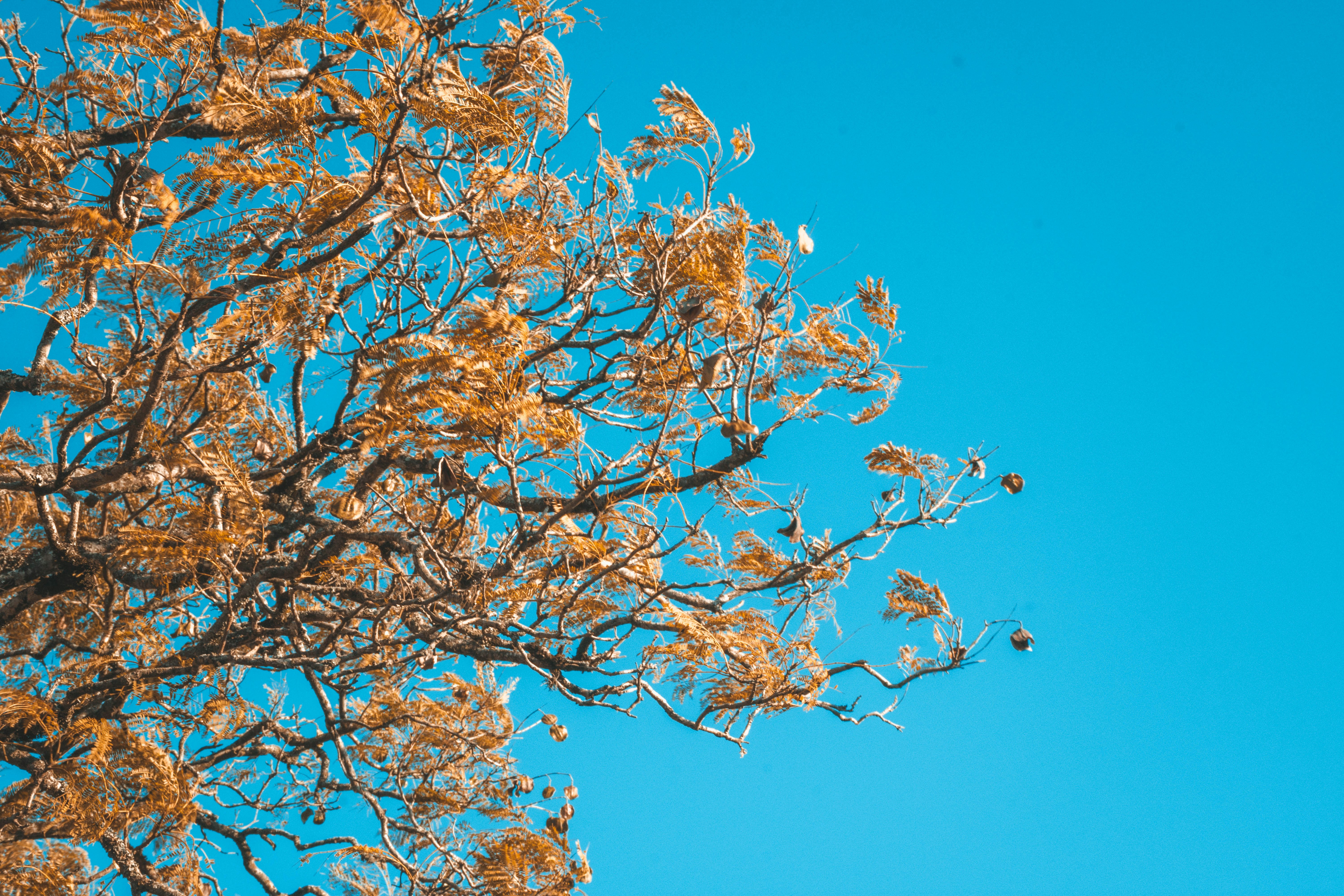 Photo by lucasgwendt